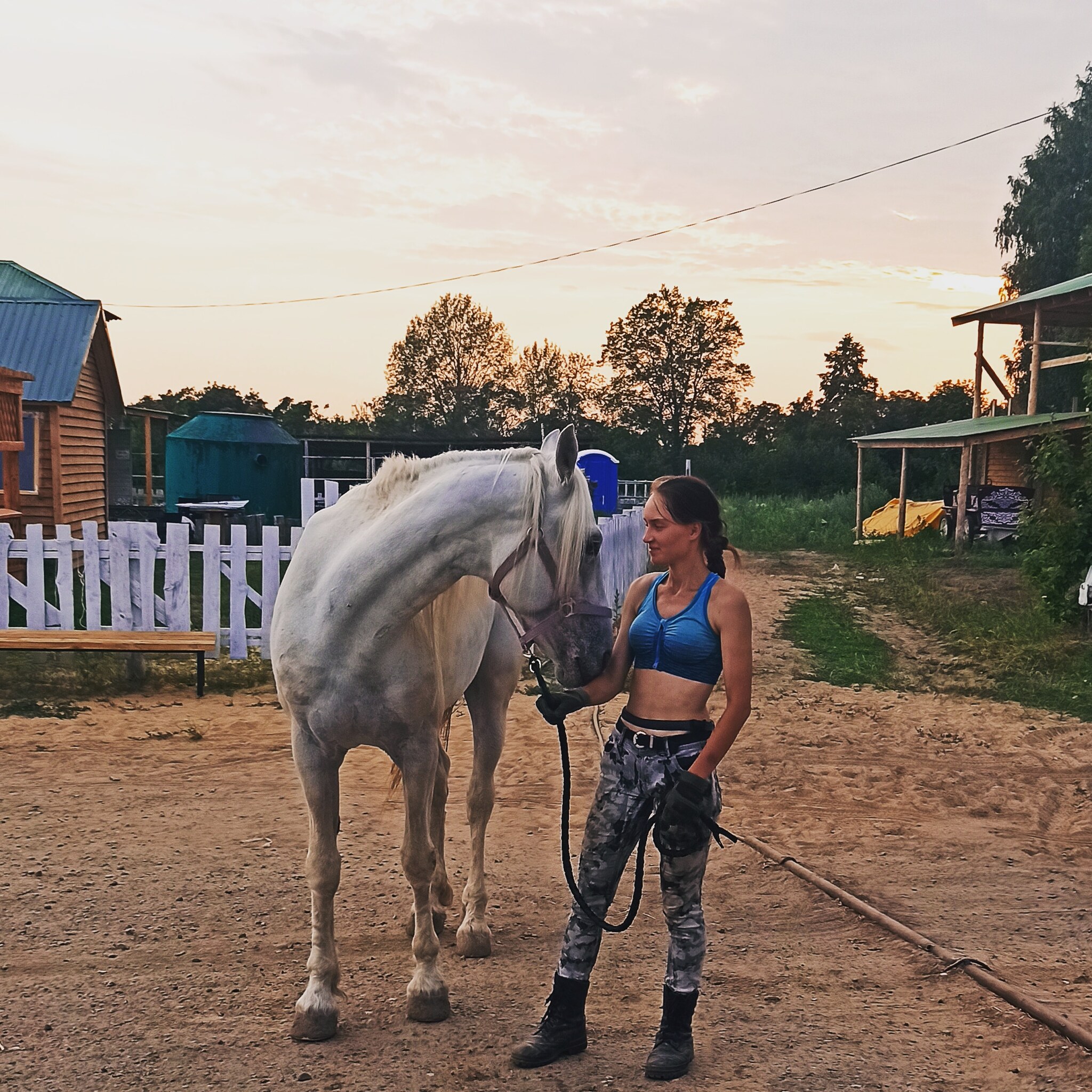 call of the soul - My, Horses, Work, Sport, Horseback Riding, Animals, Equestrian Club, Instructor, Longpost