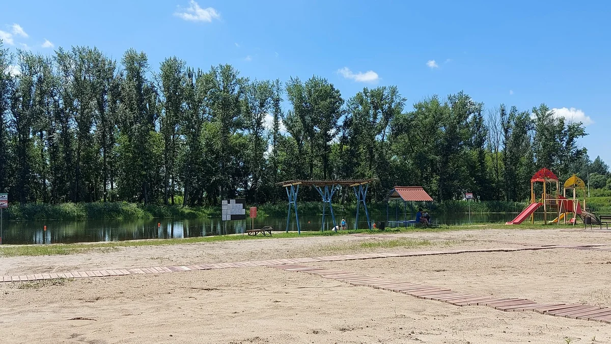 В нашем городе при Хрущеве активно сажали тополя, сейчас массово спиливают.  Рассказываю почему | Пикабу