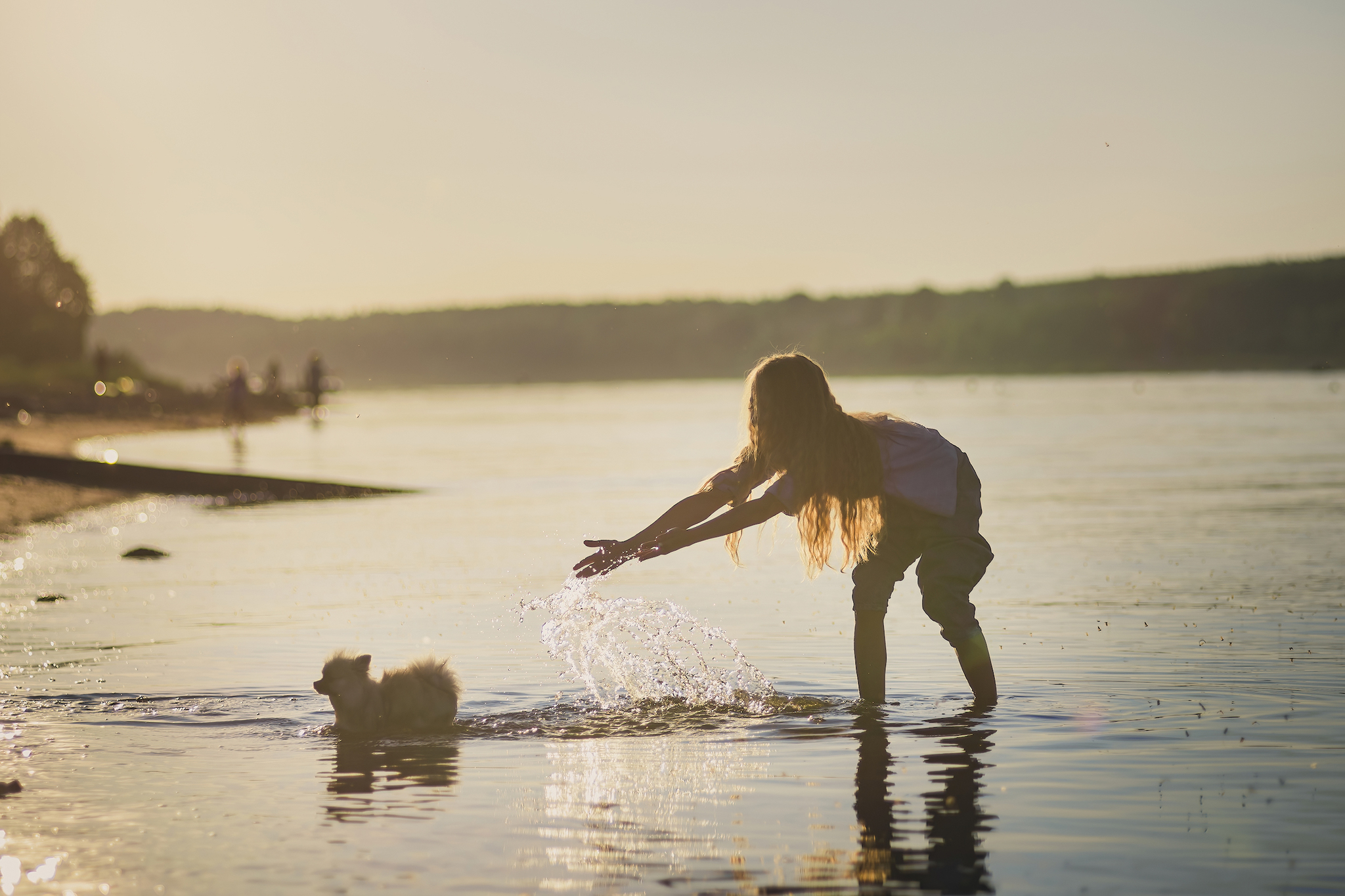 Volga sunsets)) - My, The photo, Pets, Dog, Volga river, Spitz, Sunset, Tutaev, Longpost