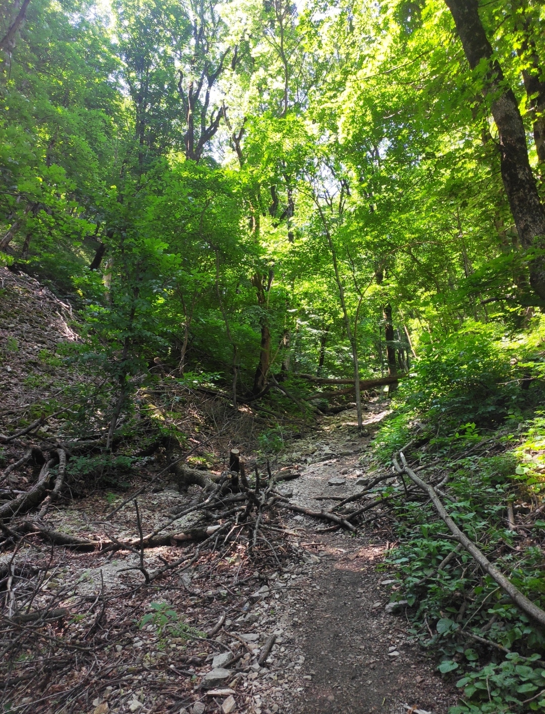 Trekking to Mount Beshtau (1402 m) - My, Hike, Beshtau, Leisure, Tourism, The mountains, Video, Vertical video, Longpost