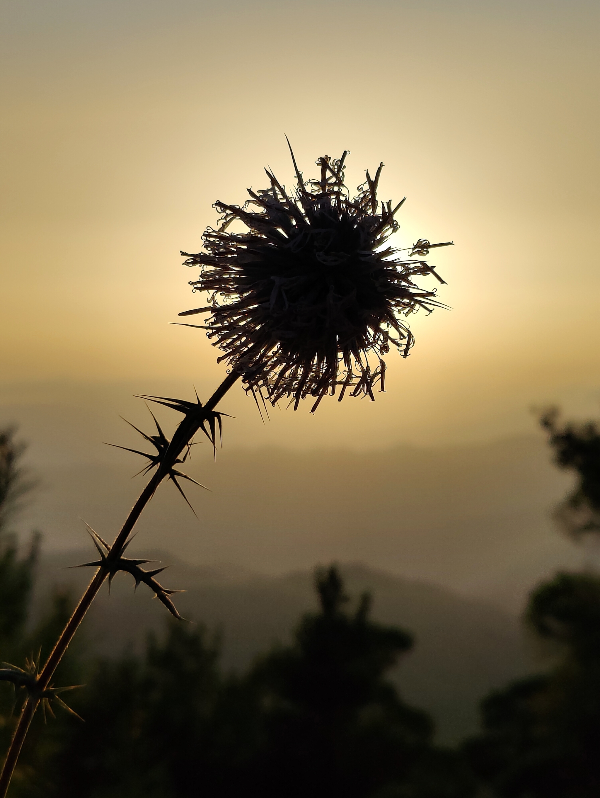 Cyprus - My, Photographer, Cyprus, beauty, Along the way, The world through my eyes, Longpost