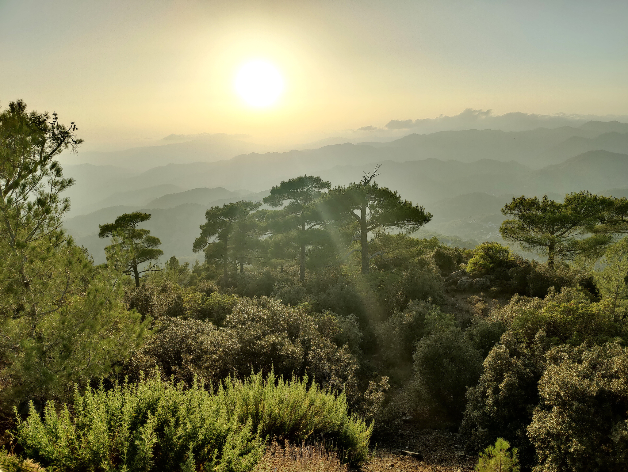 Cyprus - My, Photographer, Cyprus, beauty, Along the way, The world through my eyes, Longpost