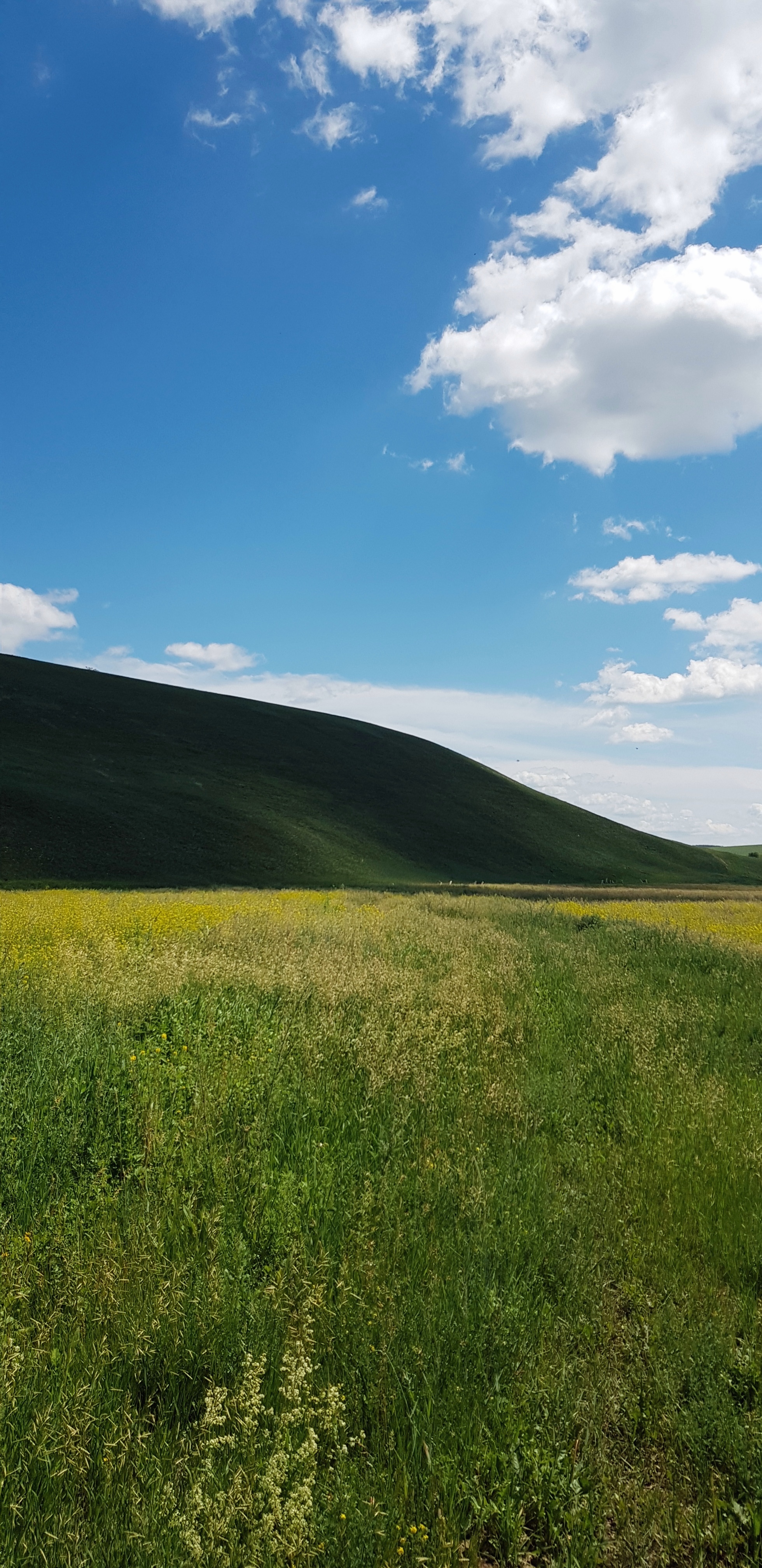 Еще деревня - Моё, Отпуск, Деревня, Длиннопост, Фотография, Кот