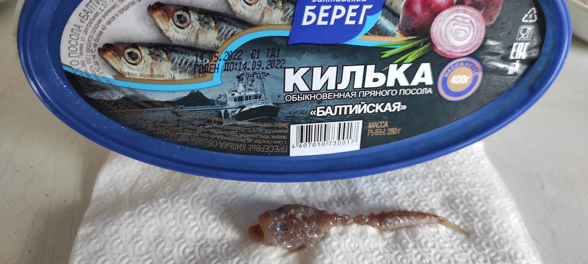 Mutant Sprat - My, A fish, Sprat, Canned food, Longpost