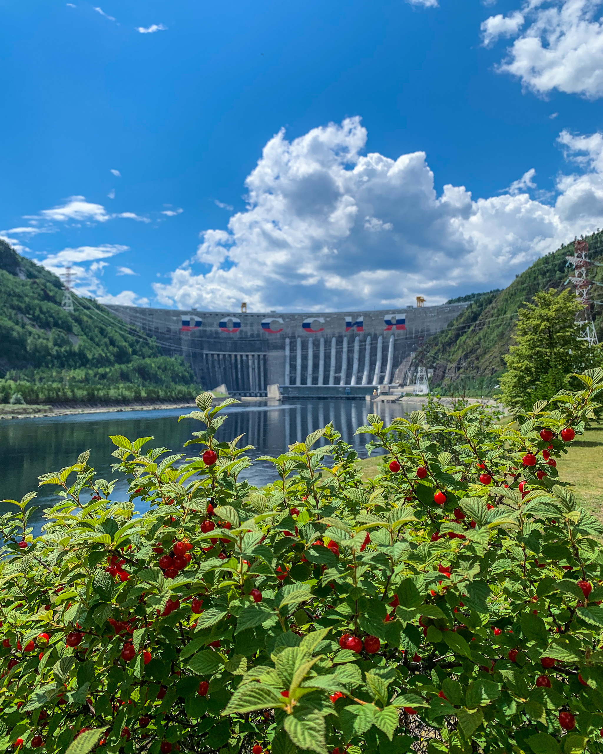 Vishnevaya HPP - Sshges, Cherry, Summer, Siberia, Mobile photography