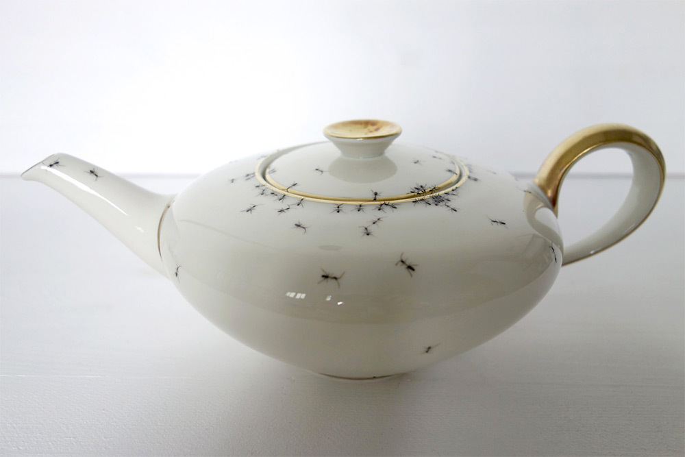 Dishes with ants - Ants, Phobia, Tableware, Porcelain, Insects, Longpost