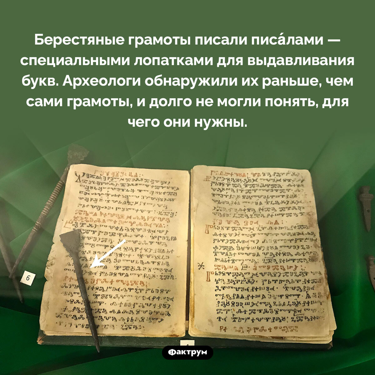 Подборка интересных фактов № 88 - Подборка, Картинка с текстом, Факты, Познавательно, Фактрум, Длиннопост