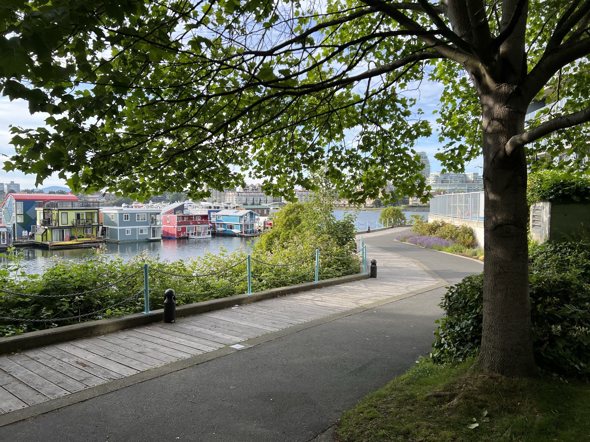 Canada - My, Town, The street, House, Road, Ocean, beauty, Purity, Canada, Longpost