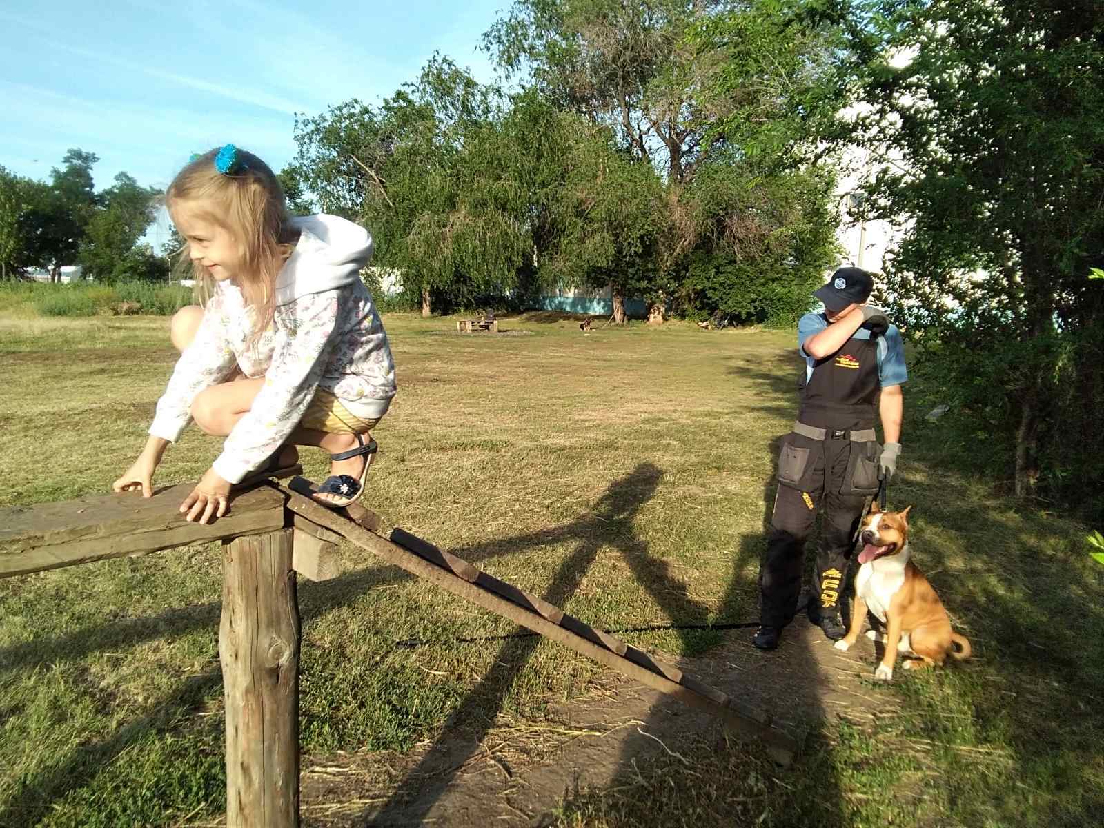 In training - My, Amstaff, Workout, Children, Dog days, Longpost, Dog