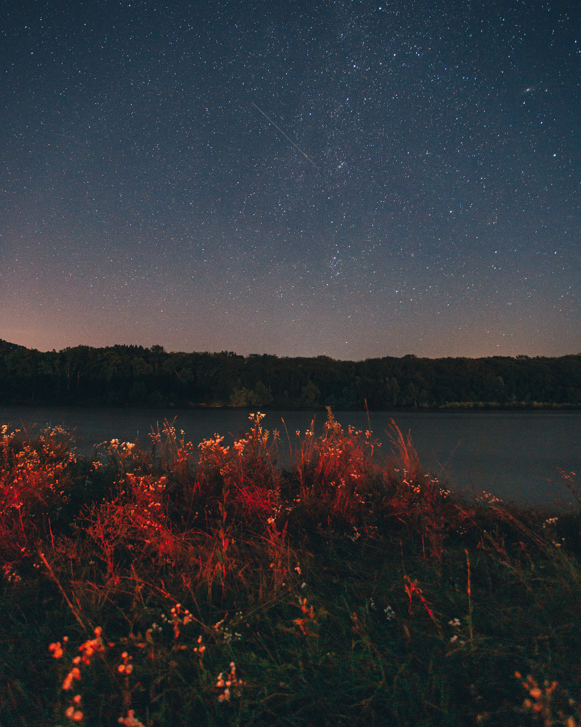 Starry sky over Novokubansk - My, Summer, Novokubansk, Краснодарский Край, Kuban, Starry sky, Milky Way, Night, The photo, Longpost