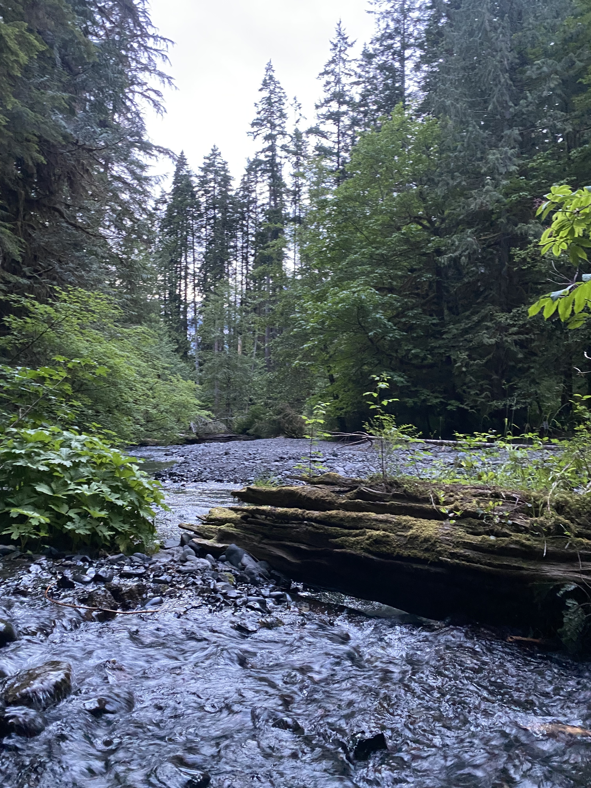 A bit of Twin Peaks vibe - My, North America, The photo, Nature, Washington, Lake, Images, Longpost