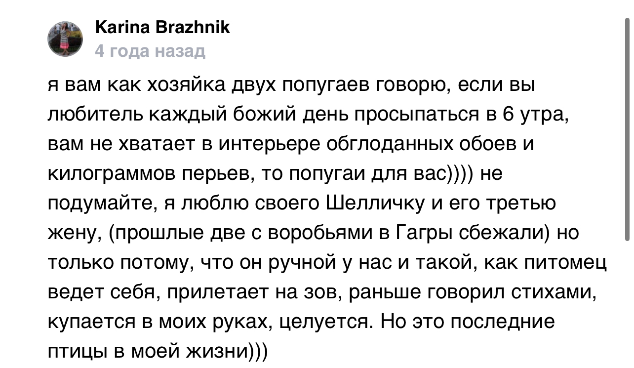 Зато сколько радости - Скриншот, ADME