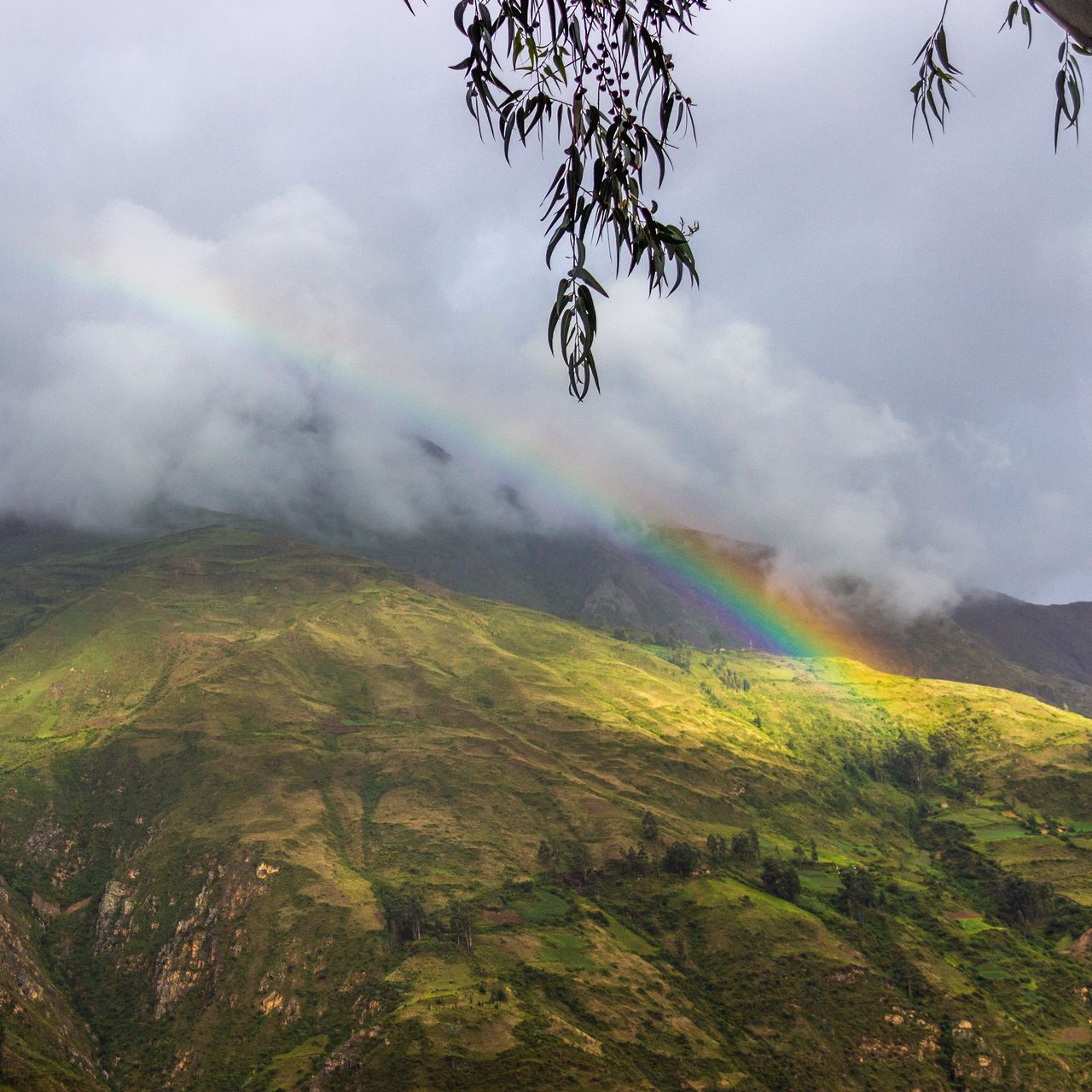 Rainbow - Радуга, Фотография