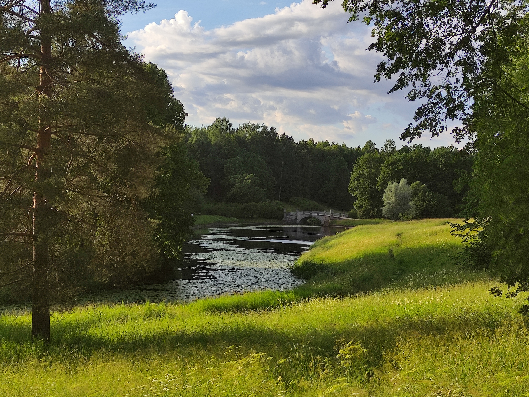 Walk in Pavlovsky Park - My, Saint Petersburg, Pavlovsk, The park, Museum, Nature, Duck, Walk, Longpost