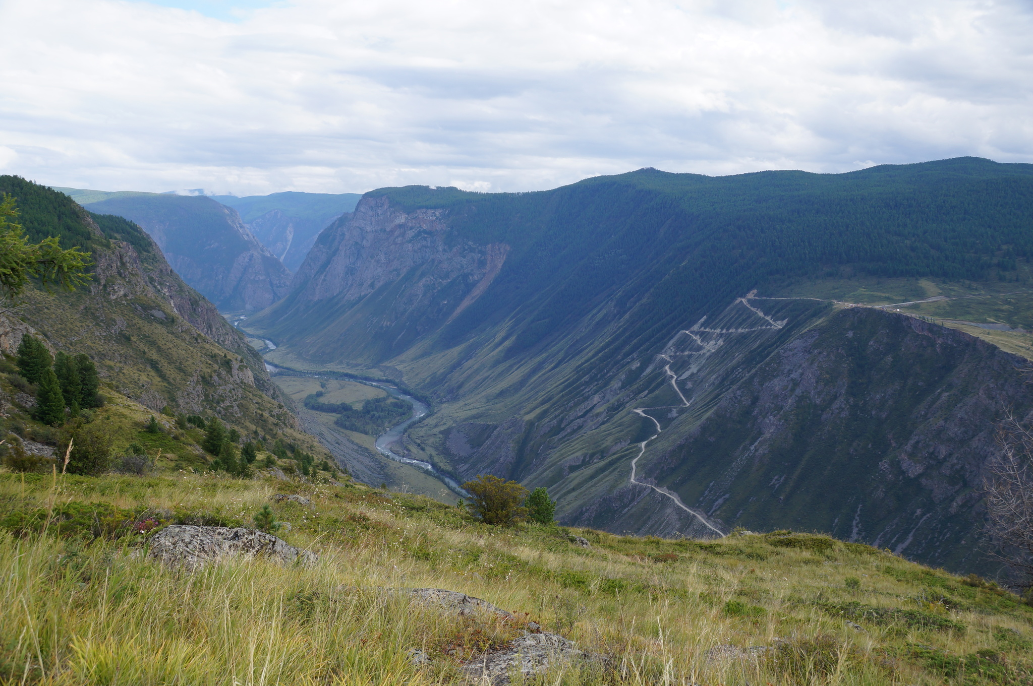 Chulyshman () is a river in the Altai Republic, Russia. It flows into Lake Teletskoye - My, The photo, beauty of nature, The nature of Russia, Nature, The rocks, Altai Republic, Siberia, River, Chulyshman, The mountains, Bridge, Landscape, Tourism, Summer, Travels, Travel across Russia, beauty, Sky, Tree, Gotta go, Longpost