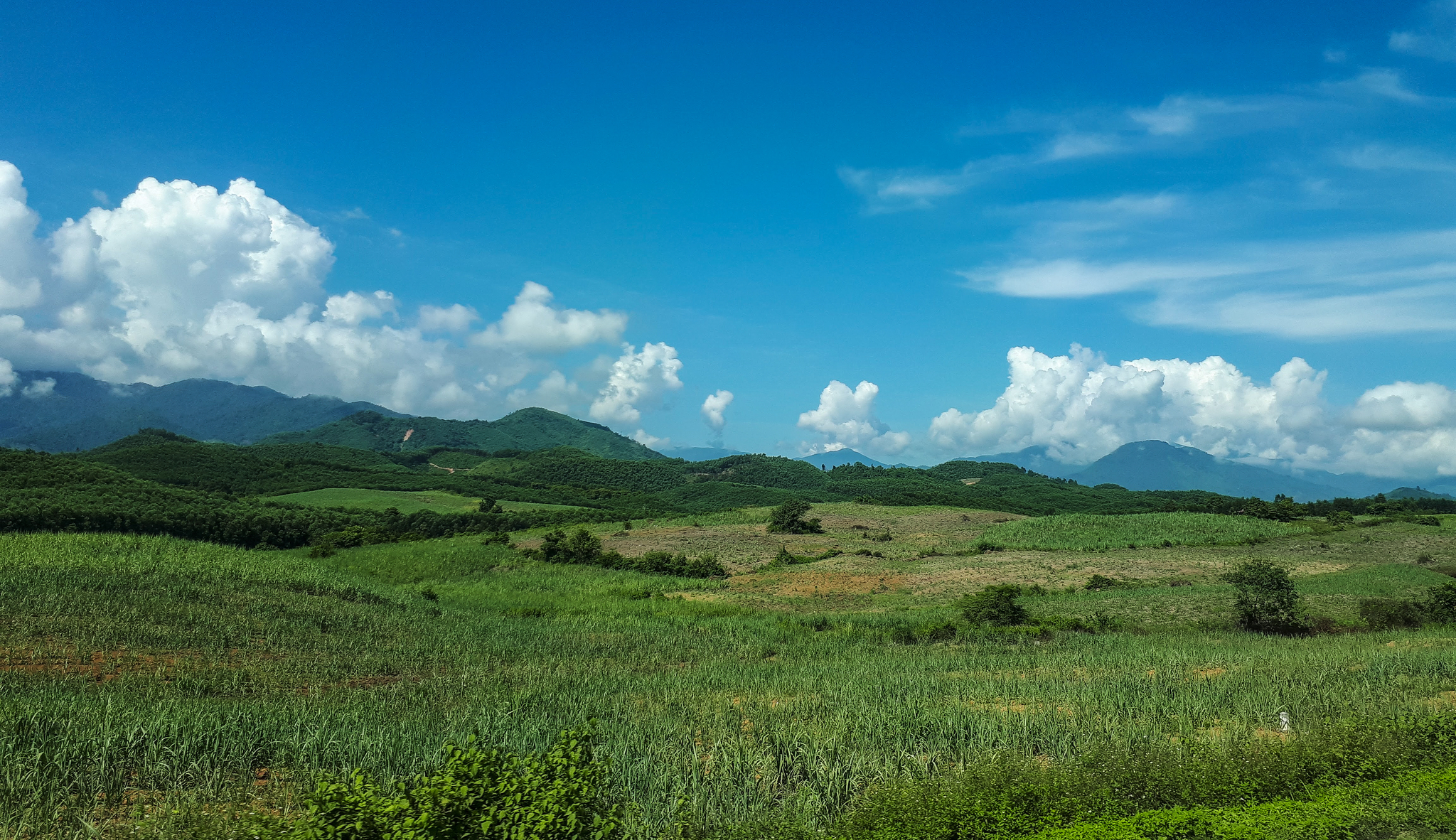 On the way to Dalat - My, Beginning photographer, The photo, beauty of nature, Dalat, Vietnam