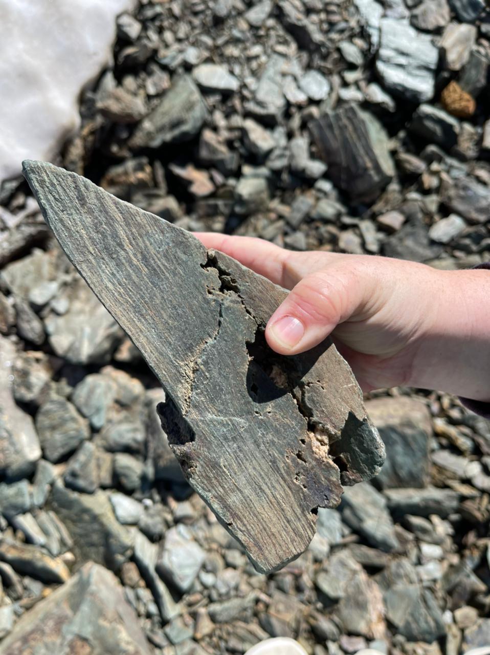 Tell me, what are the rocks/minerals? Gathered friends in Altai, Aktash - Geology, Geologists, Longpost