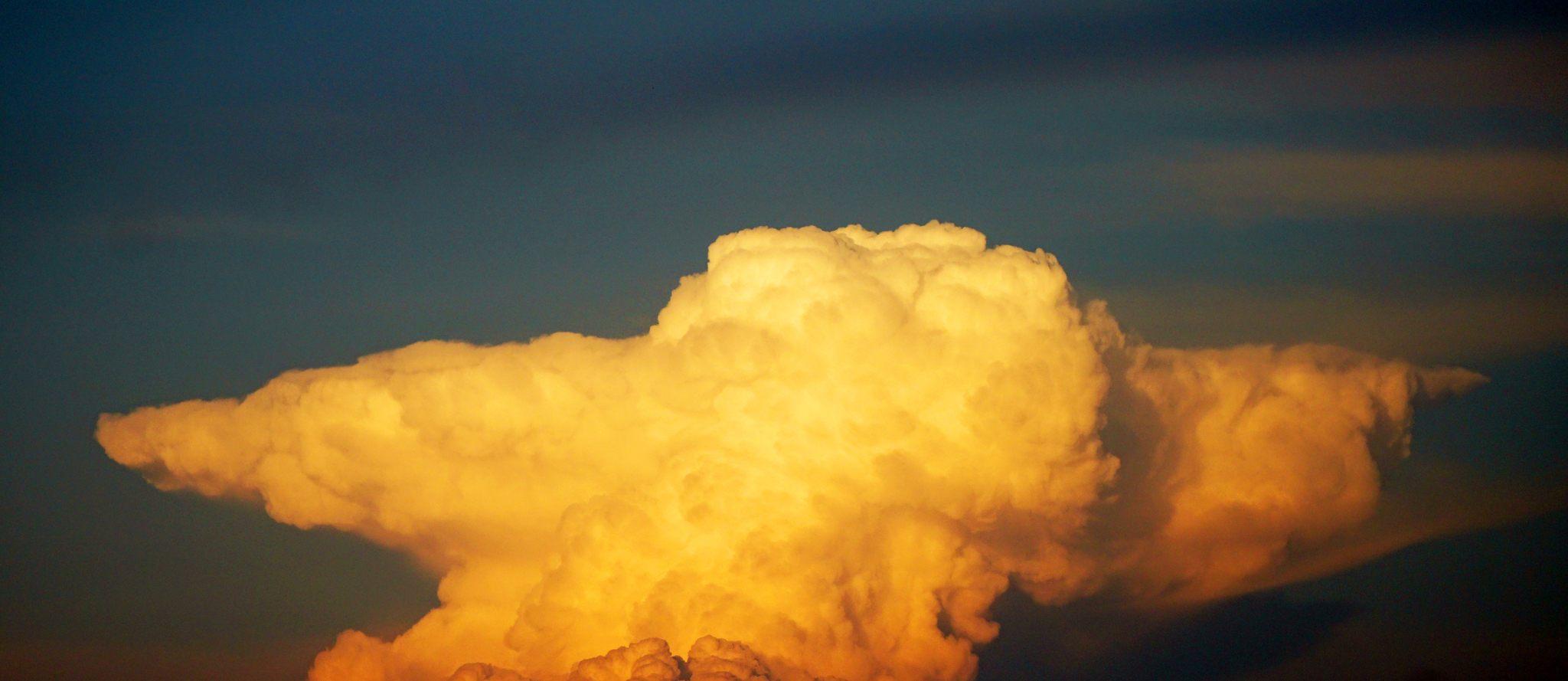 I see here: - My, Royal Poodle, Pareidolia, The photo, Clouds