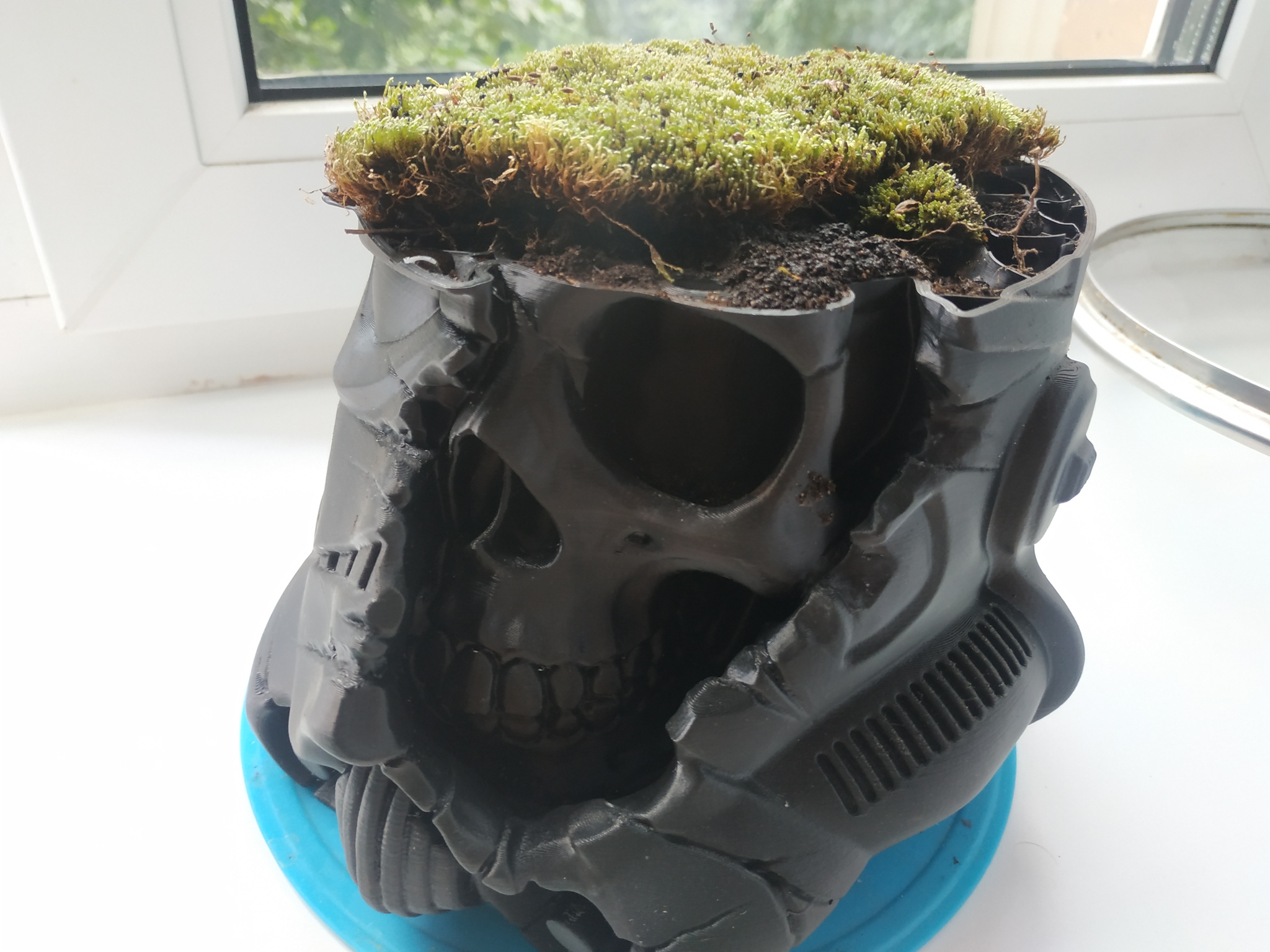 I got myself moss! - Flowers, Plants, Moss, Longpost, Star Wars, 3D печать