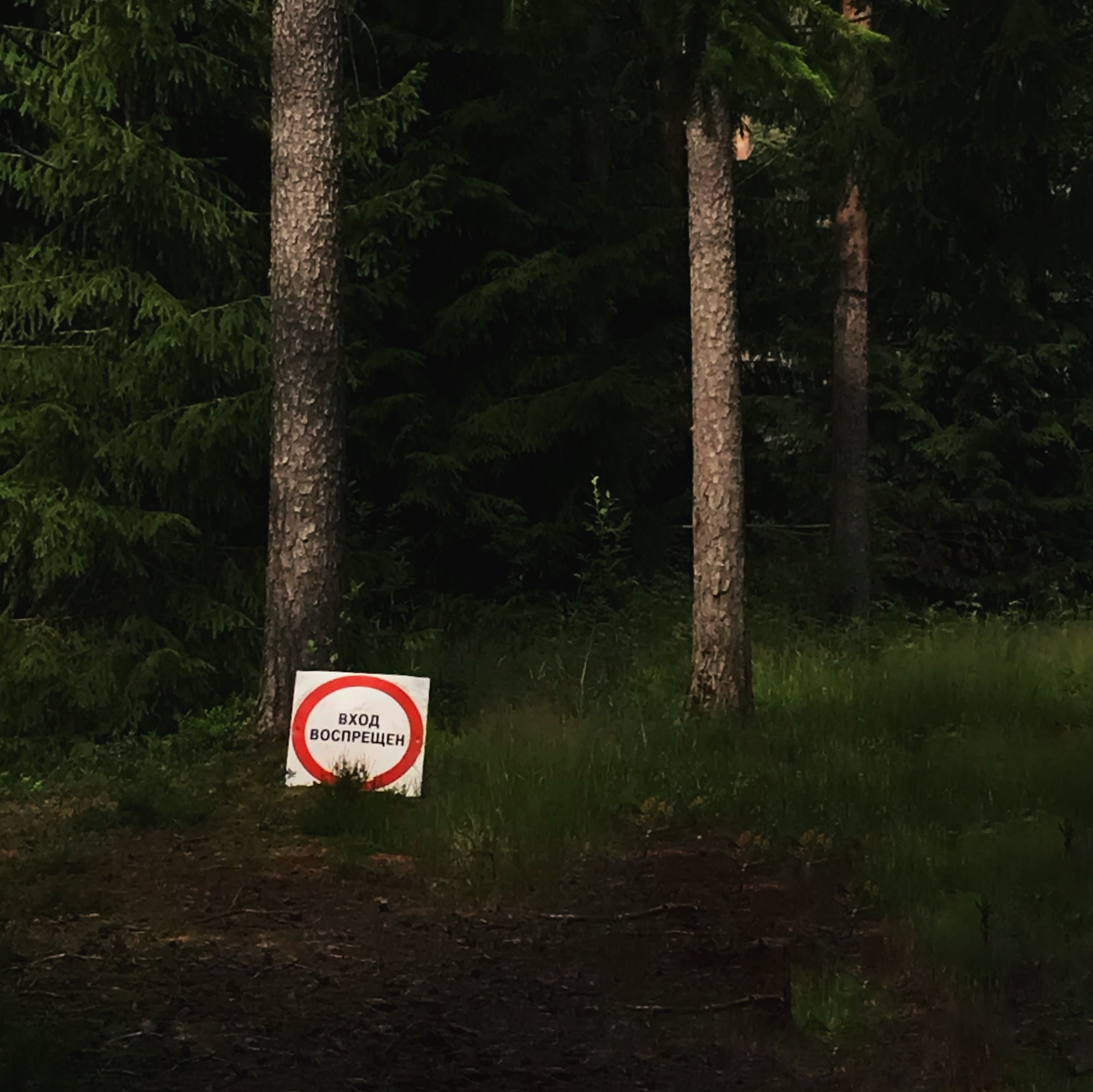 When the forest doesn't even let you in... - My, Picture with text, Laugh, Signs, Images