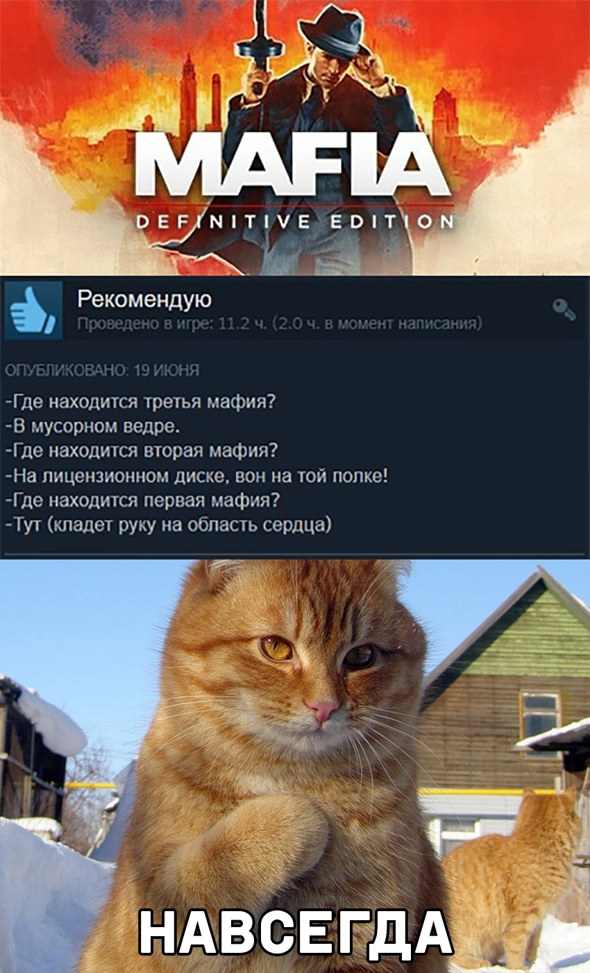 смешные отзывы steam фото 49