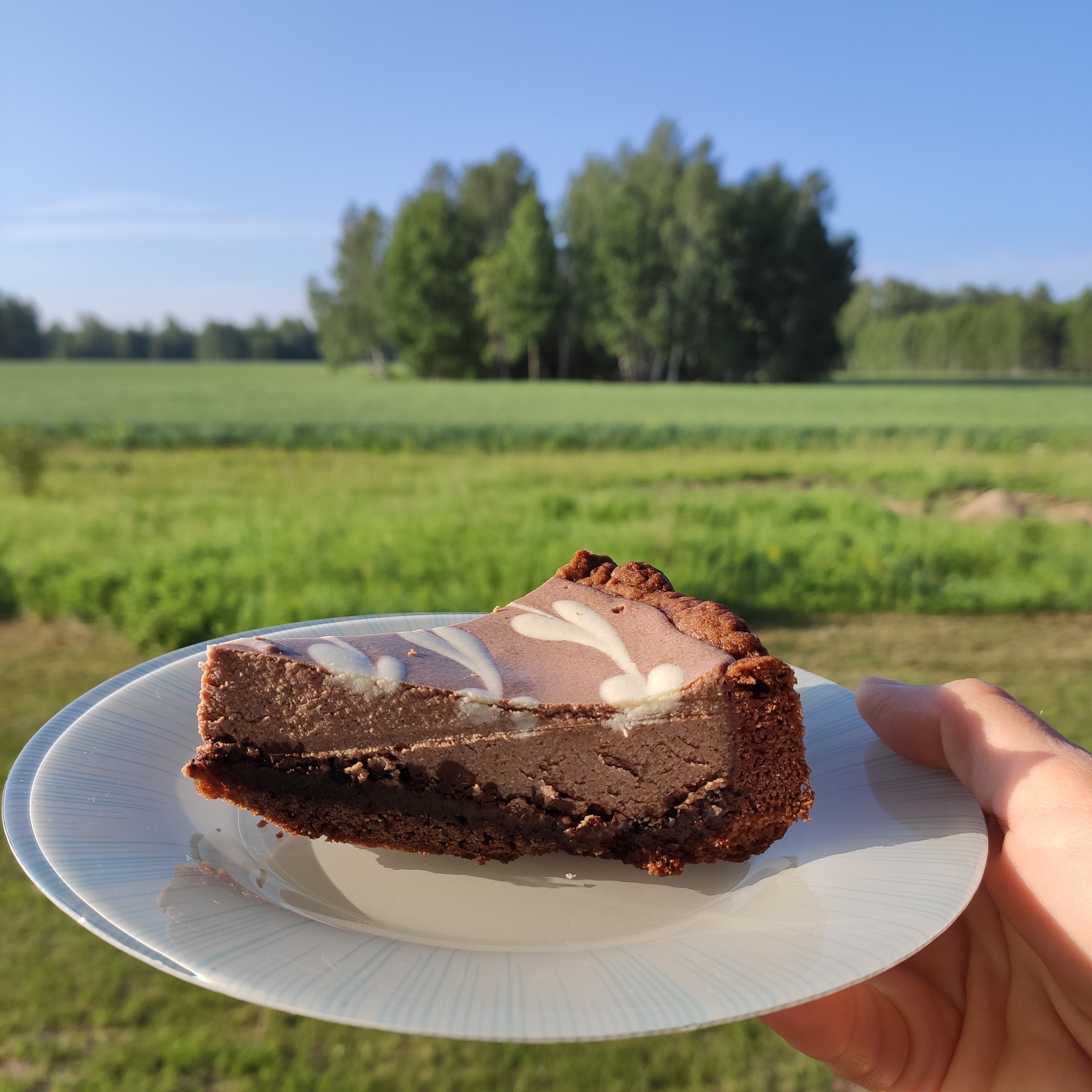 Cottage cheese and chocolate tart - My, Recipe, Confectionery, Chocolate, Baking with cottage cheese, GIF, Longpost