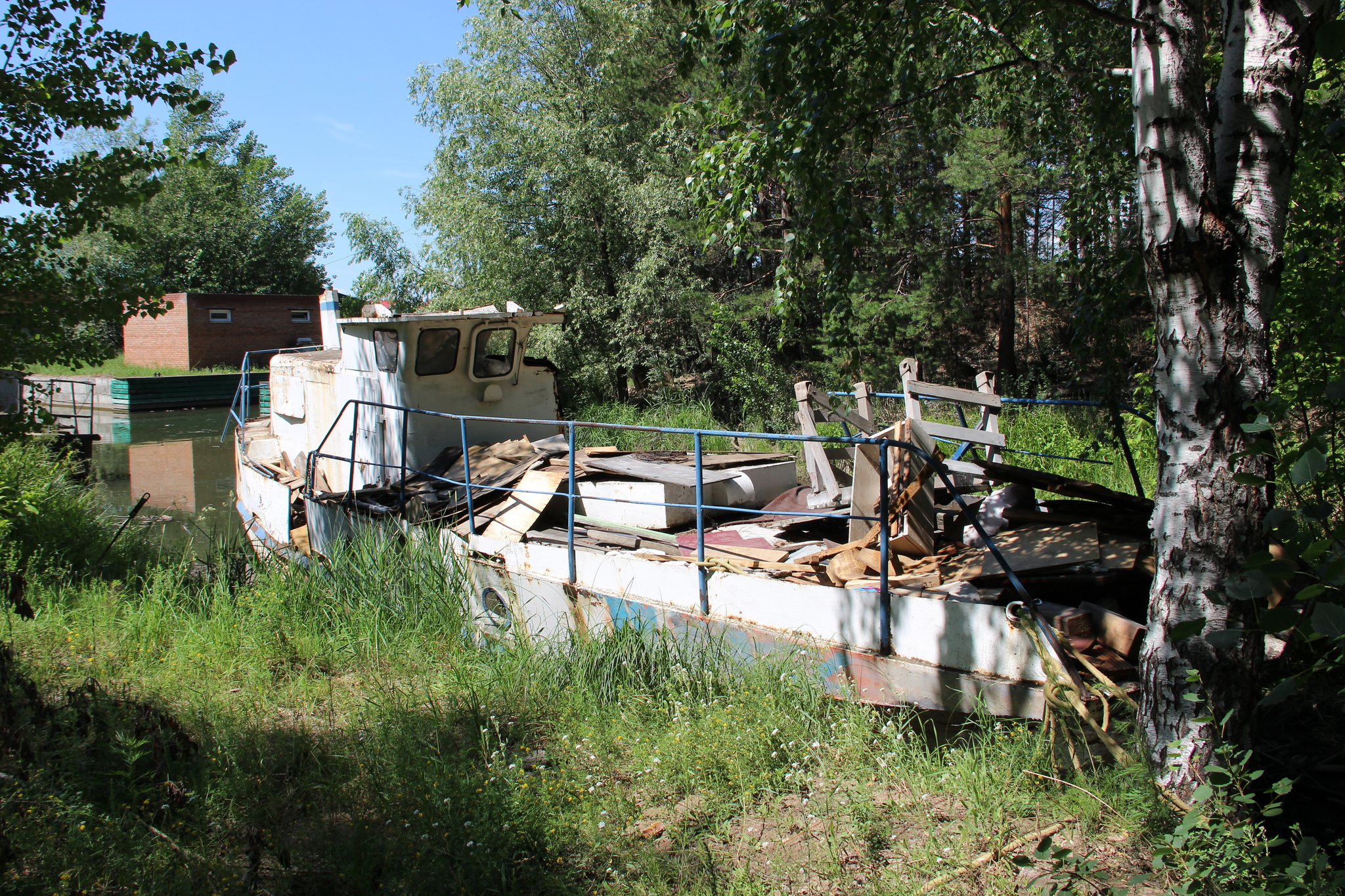 The ships - My, The photo, Russia, Novsibirsk, Akademgorodok, Ship, Boat, Rust, Urbanphoto, Trash, Garbage, Nature, The nature of Russia, beauty of nature, Berth, Longpost