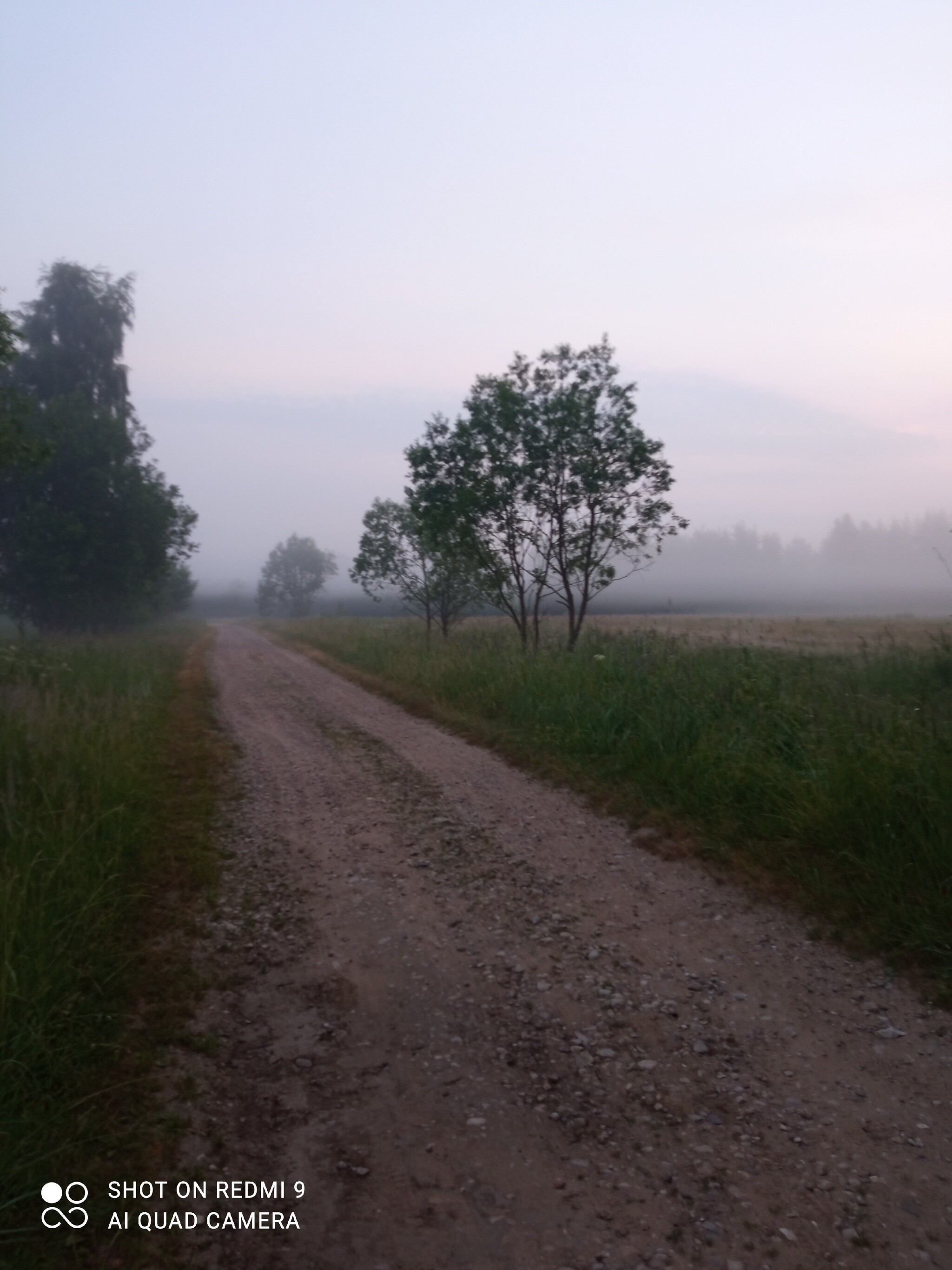 4 am by bike - My, Morning, Good morning, Fog