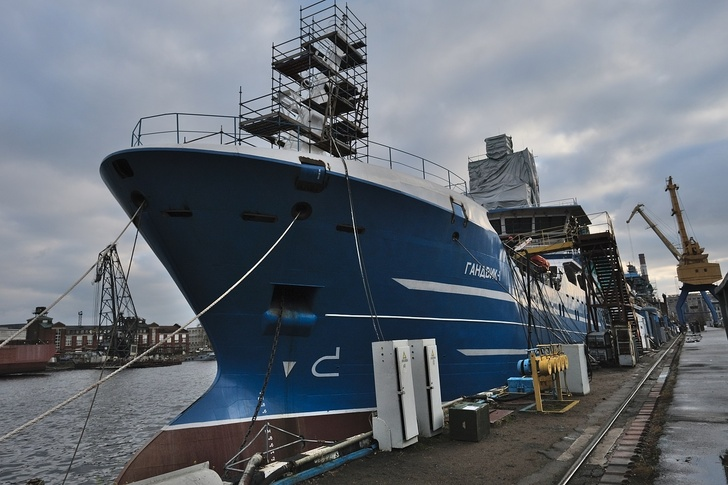 In St. Petersburg, 3 vessels for fishing were handed over in 1 day - news, Russia, Positive, Shipbuilding, Saint Petersburg, Sdelanounas ru, Longpost