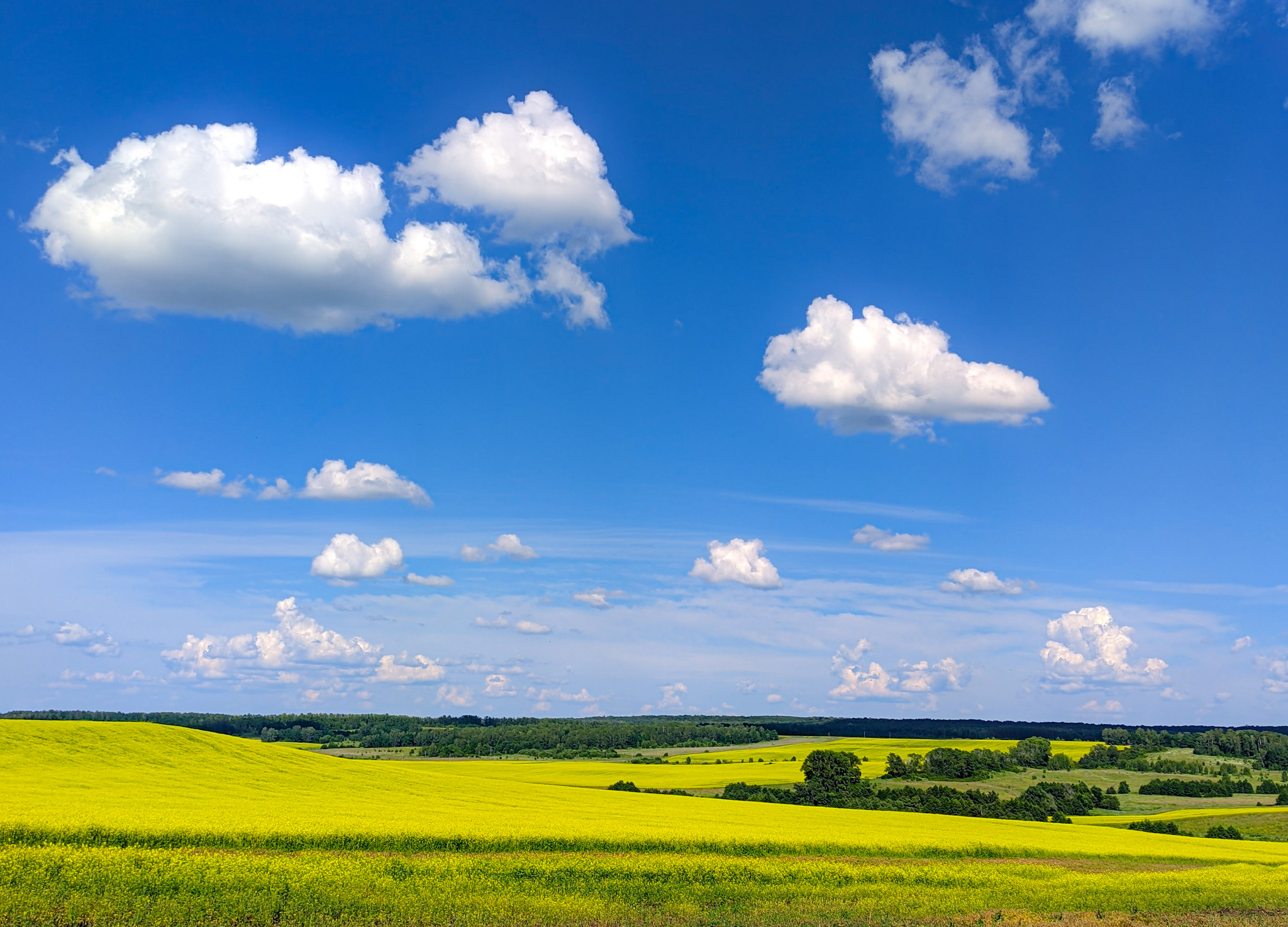 Summer - My, Nature, Sky, The sun, The photo, Evening, Summer, Clouds, Serenity