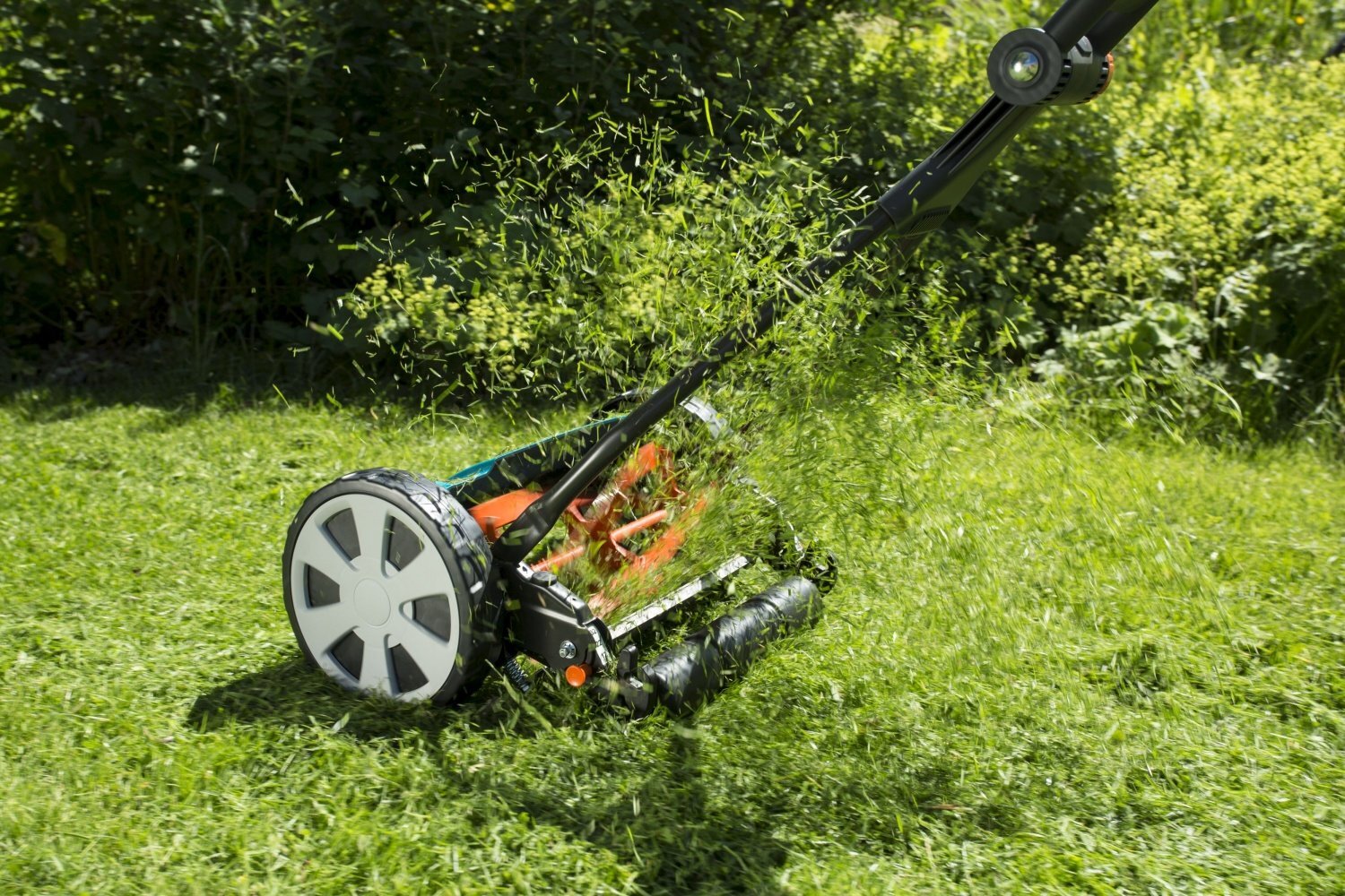 Mechanical mower - need feedback - My, Dacha, Tools, Lawn, Lawn mower