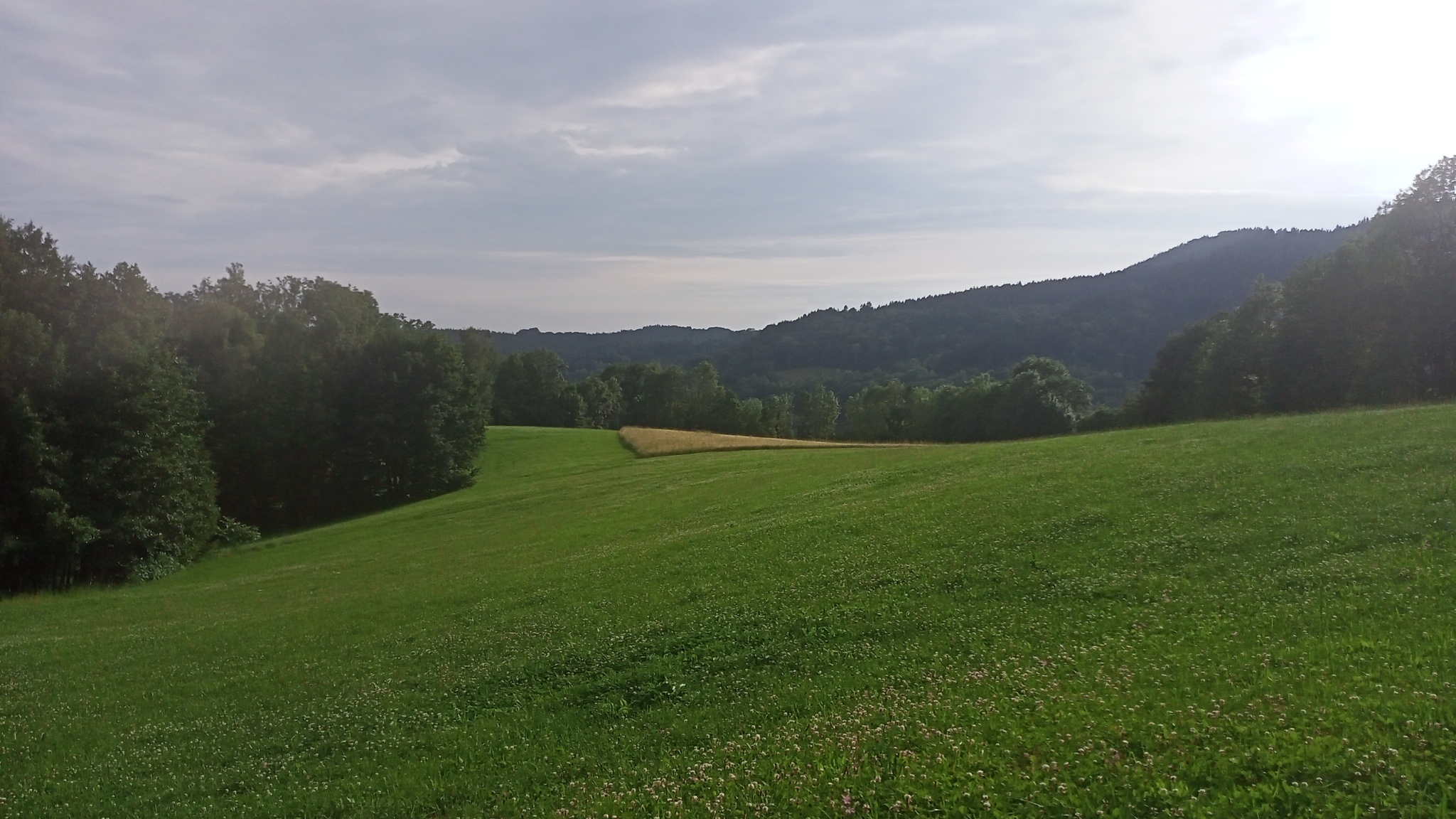 A little bit of Bavaria in the feed - My, Bavaria, Walk, Field, Danube, Summer, Grass, Germany, Longpost