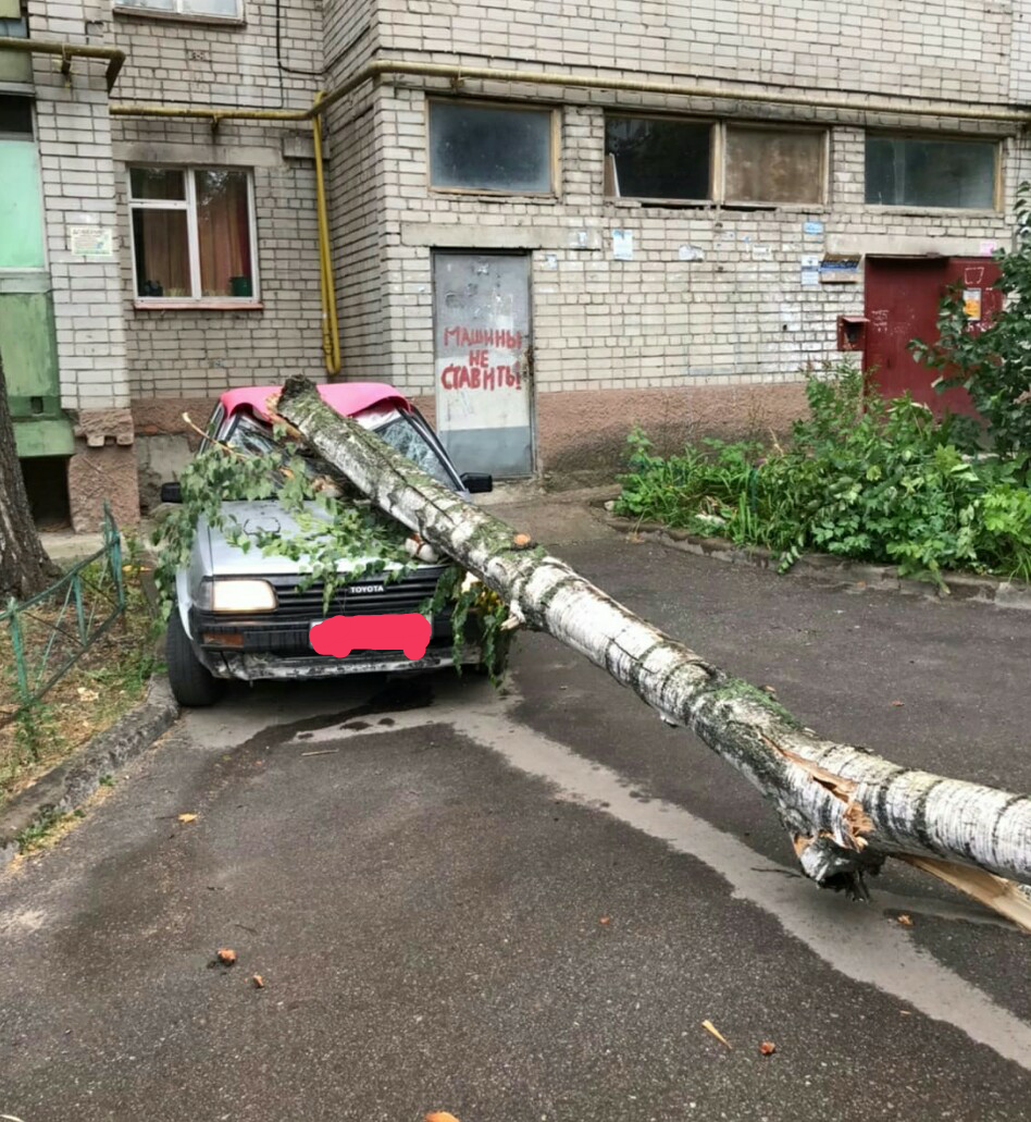 Машины НЕ ставить! - Моё, Предупреждение, Авто, Штормовое предупреждение, Машина, Происшествие, Неудача, Дерево