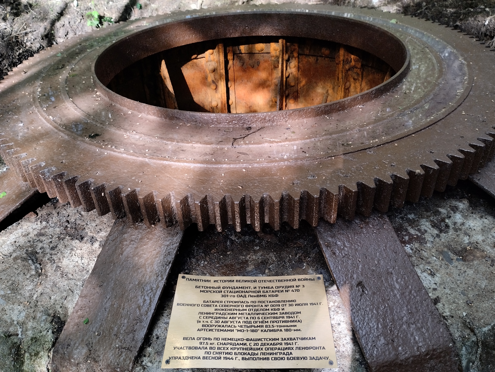 General cleaning at the marine battery in the forest of the Leningrad region - My, Leningrad region, The Great Patriotic War, Baltic Fleet, Monument, Longpost