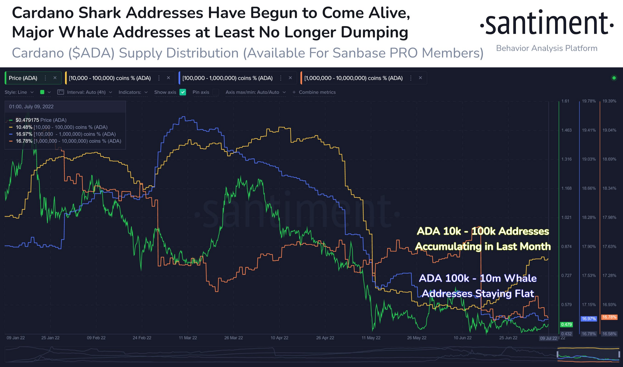 Sharks buy Up Cardano ahead of a Major Hard Fork - My, Cryptocurrency, Investments, Altcoins, Ada, Longpost