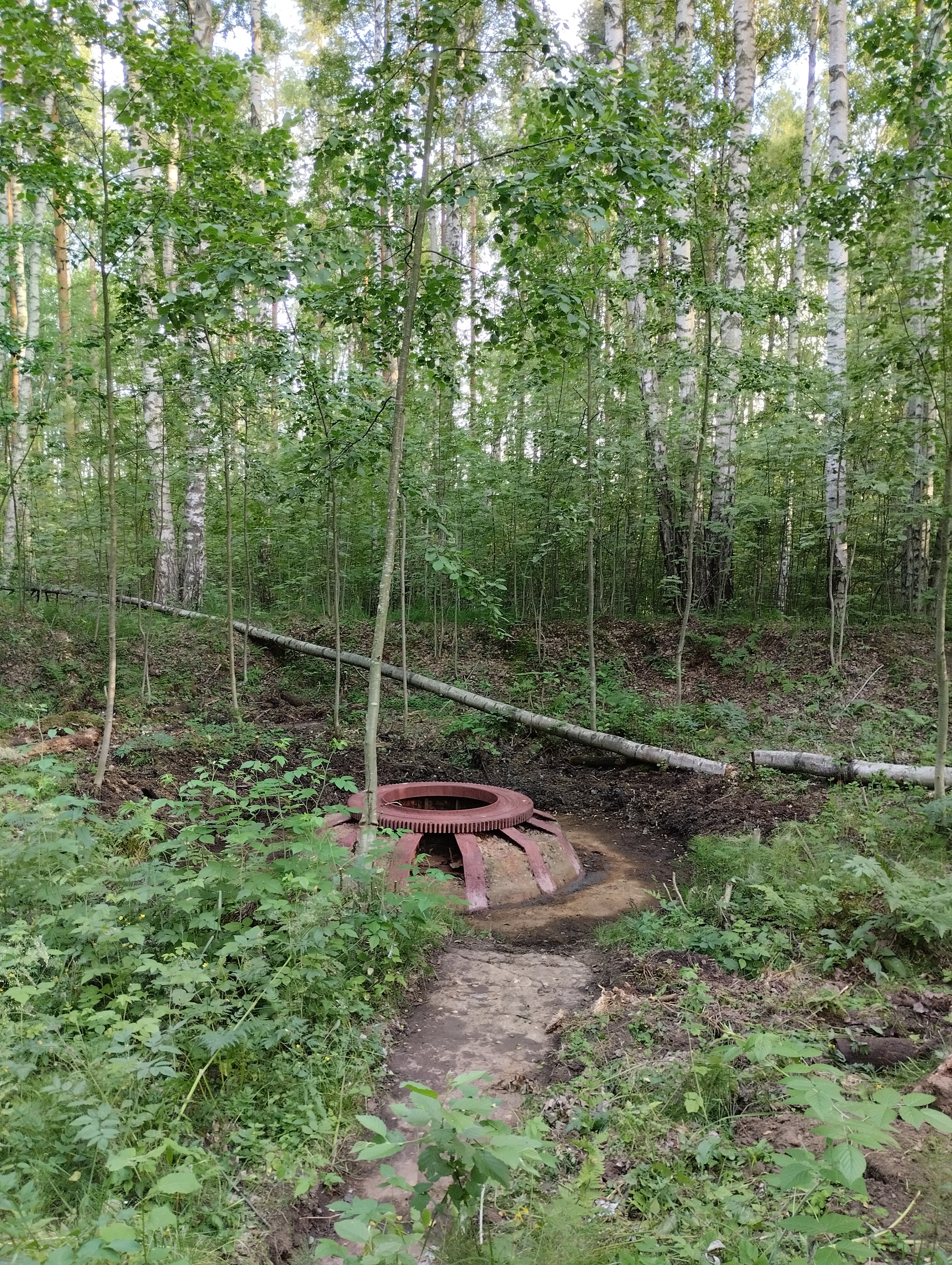 General cleaning at the marine battery in the forest of the Leningrad region - My, Leningrad region, The Great Patriotic War, Baltic Fleet, Monument, Longpost