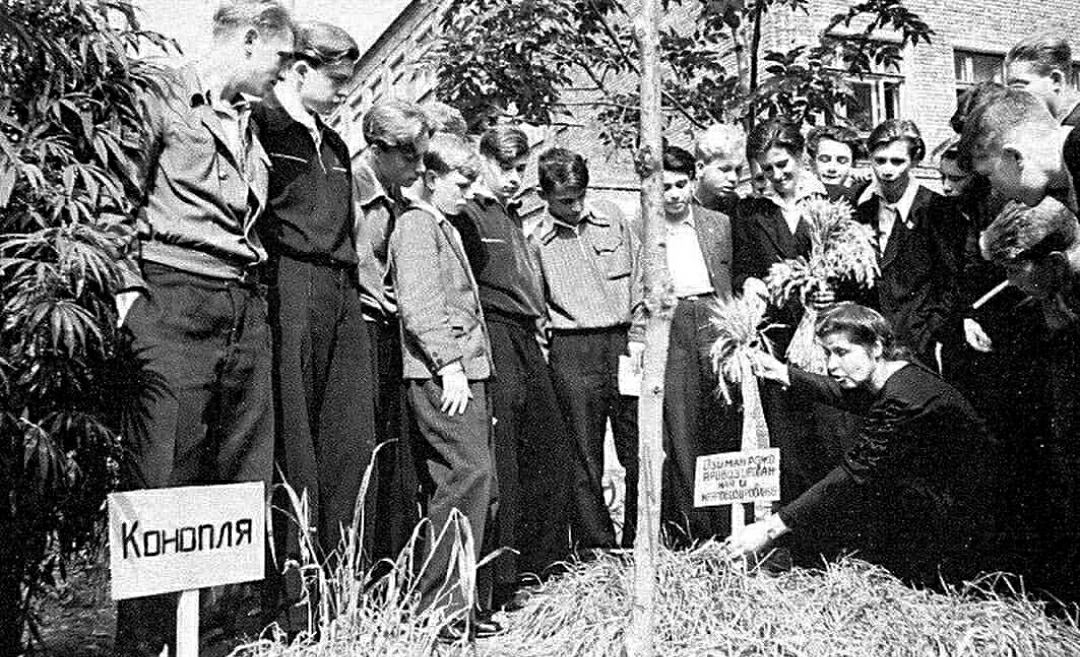 Experimental plot - The photo, Old photo, Black and white photo, Pupils, the USSR, 50th, Text