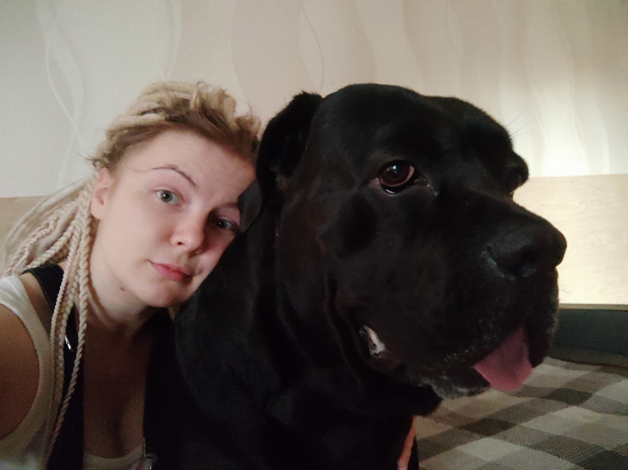 How we bought a dog or an unexpected escape from death - My, Longpost, Cane Corso, Dog, Treatment, Nursery, Animal Rescue