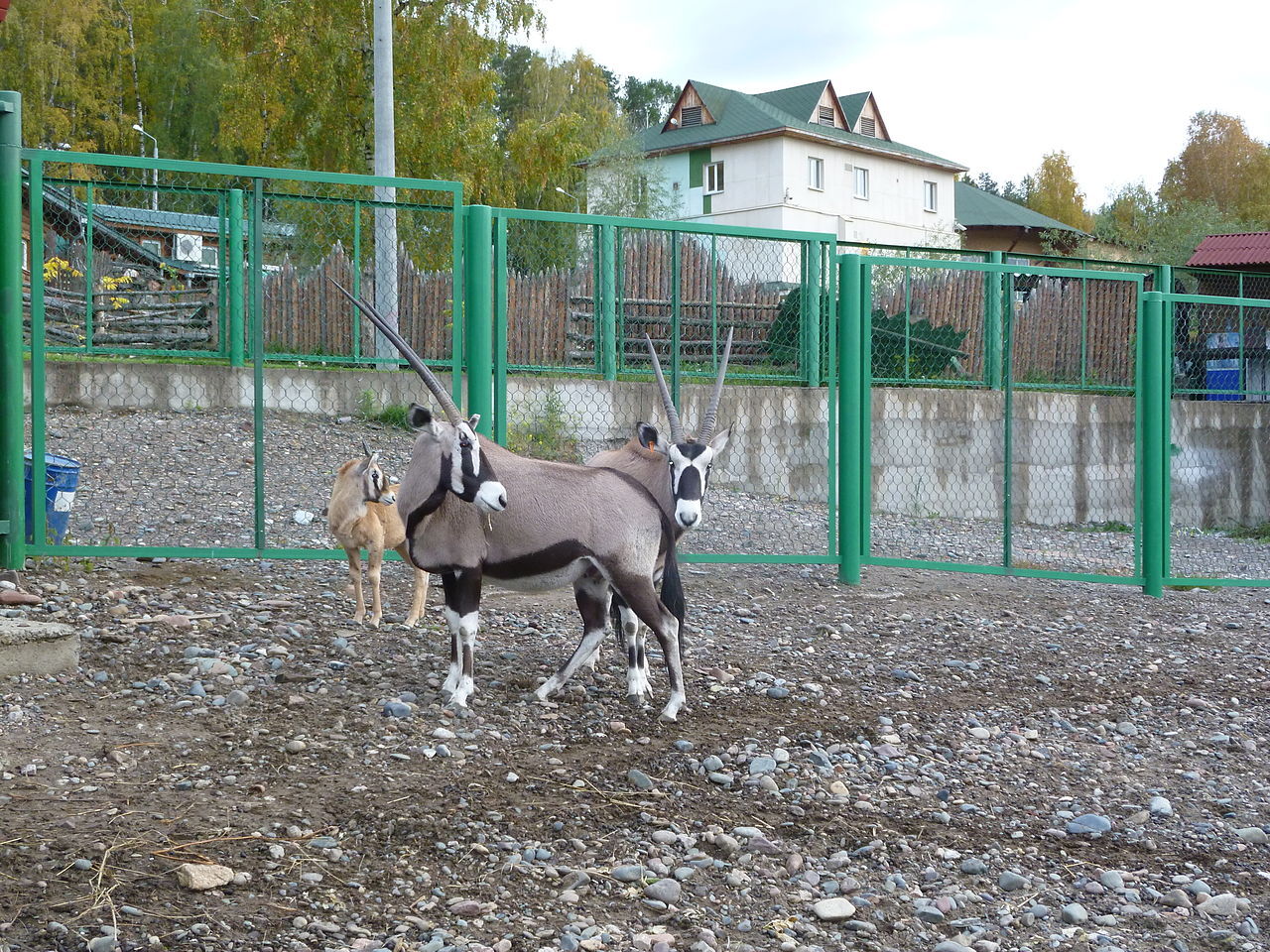 Cities Facts #7 - Longpost, Krasnoyarsk, Town, Facts, Monument, Story