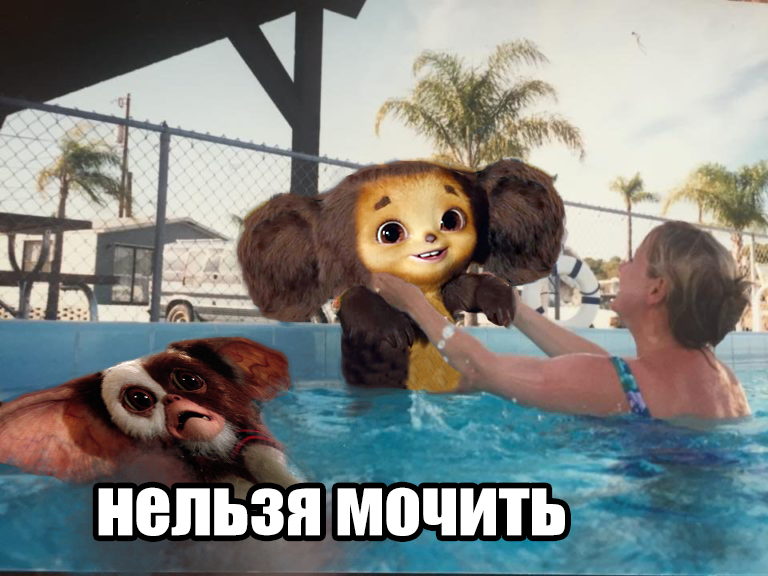 When you bathe pets - My, Gremlins, Cheburashka, cat, Pets, Memes, Picture with text