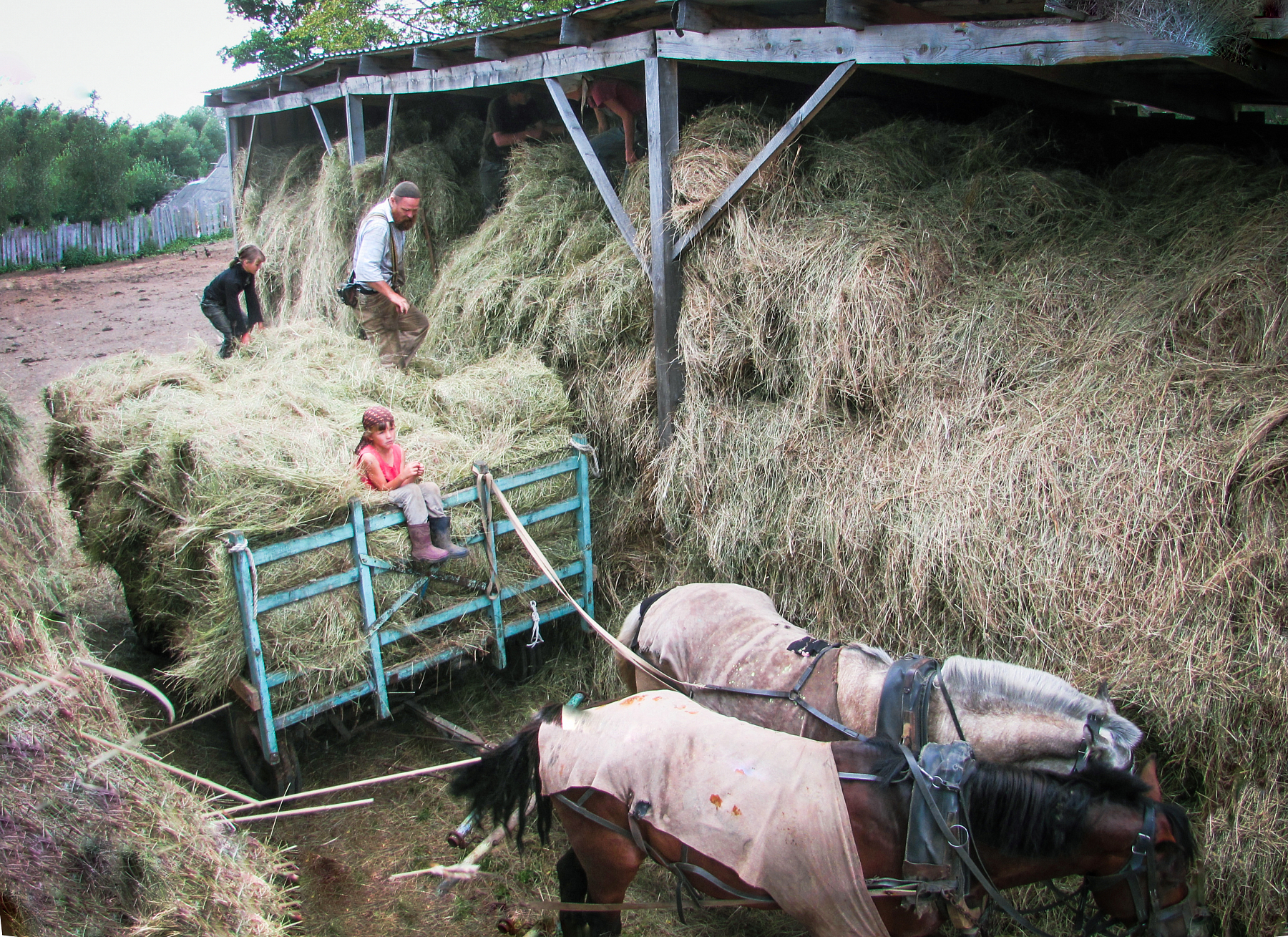 Случайный ренессанс - Случайный ренессанс, Фото на тапок, Дети