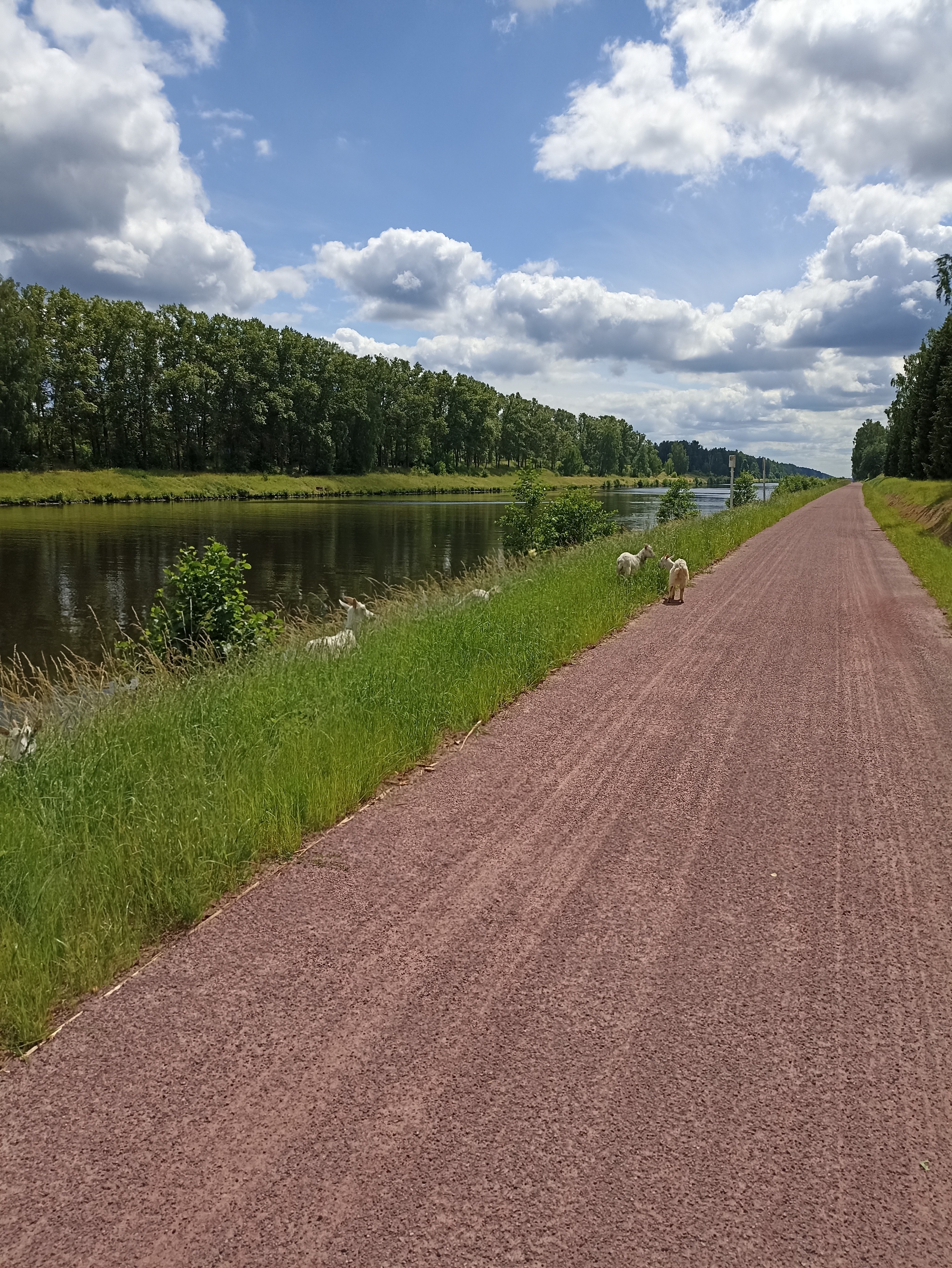 Bike1. Impressions - My, A bike, Moscow Canal, Bike ride, Dubna, Yakhroma, Dmitrov, Cyclist, Bike path, Tourism, Longpost