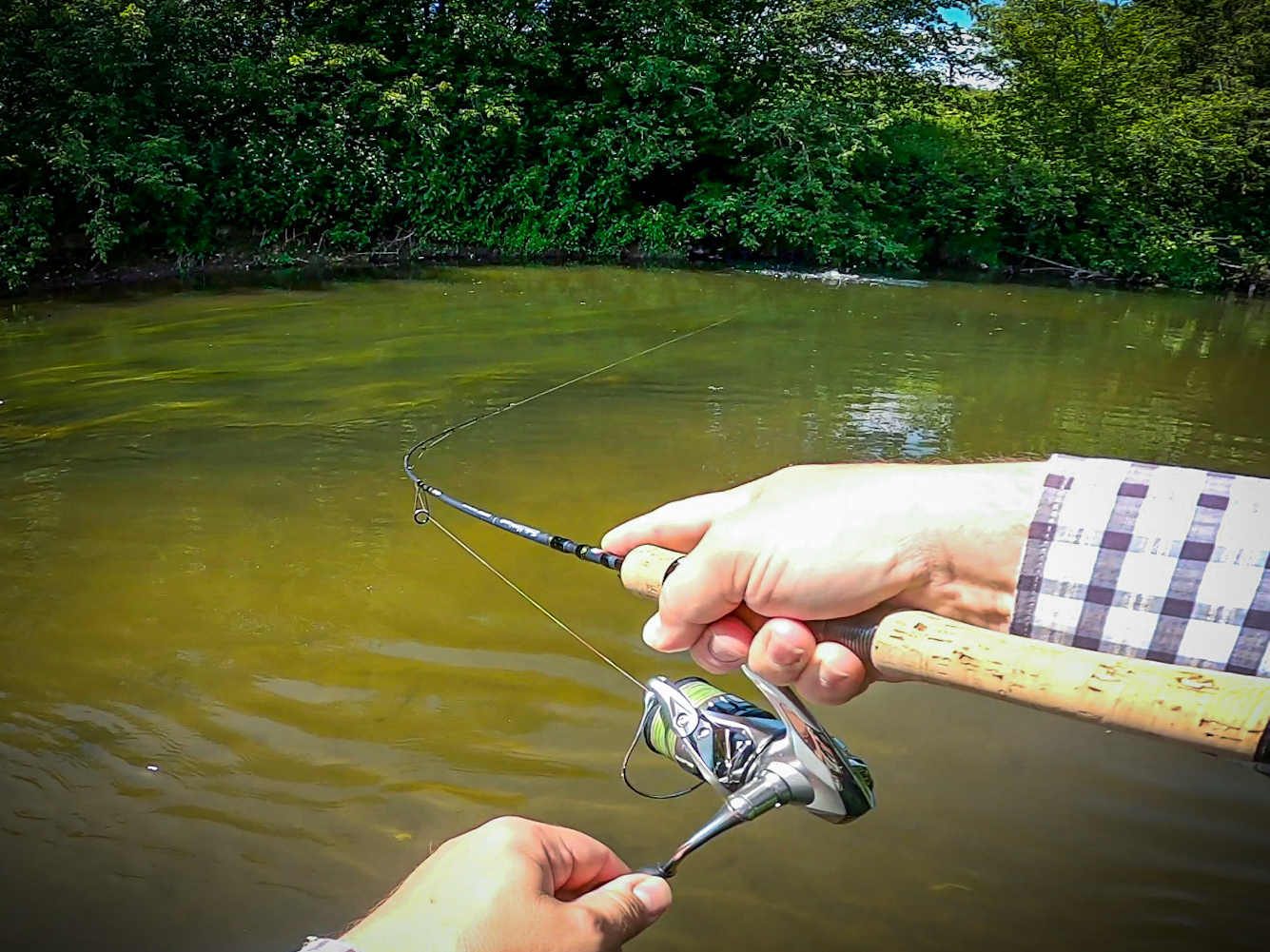 Sometimes there is fishing that breaks all your habits. Chub on a micro river - My, Fishing, Adventures, A fish, River, Life stories, Chub, Ide, Подмосковье, Longpost