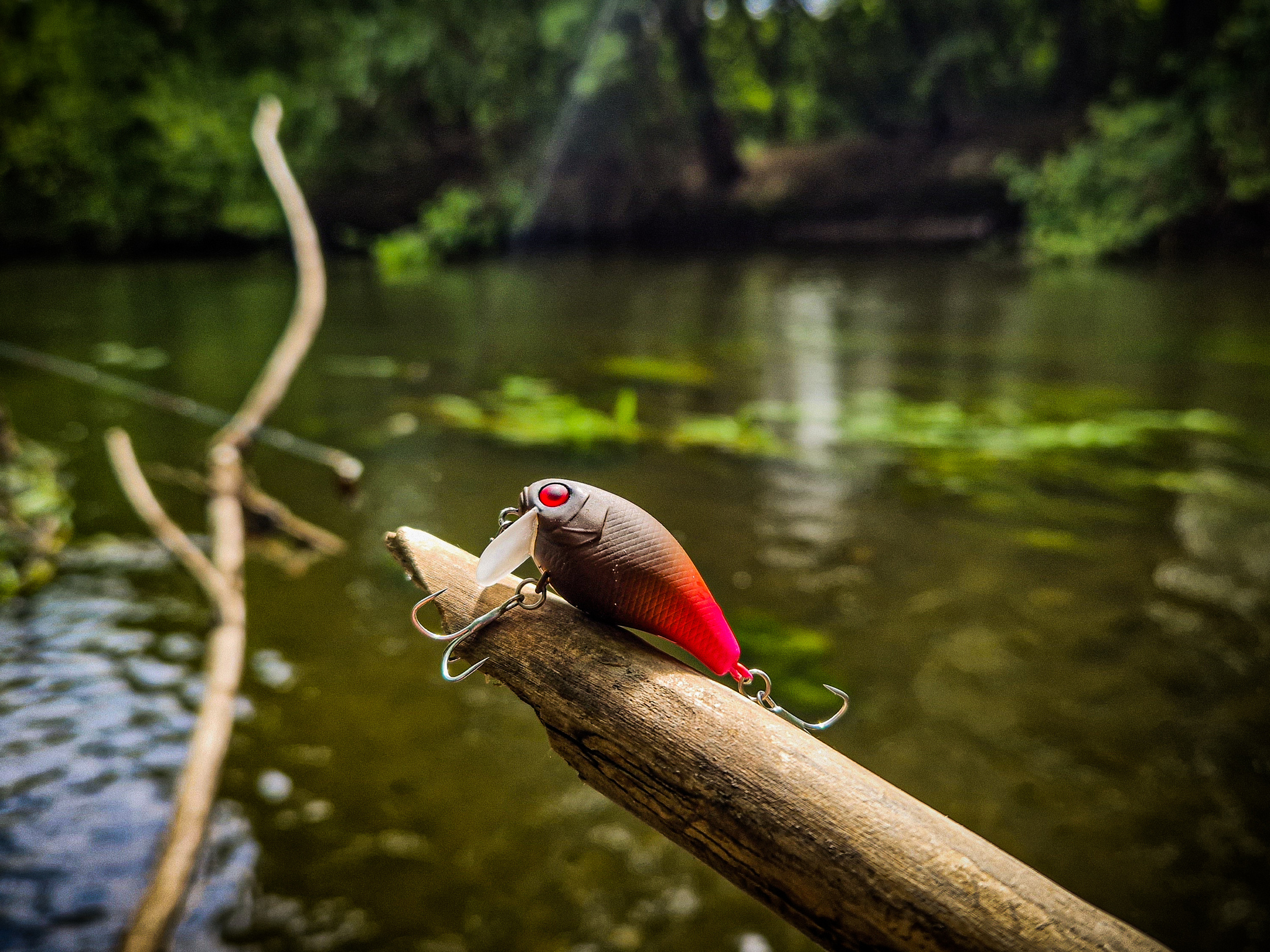 Sometimes there is fishing that breaks all your habits. Chub on a micro river - My, Fishing, Adventures, A fish, River, Life stories, Chub, Ide, Подмосковье, Longpost