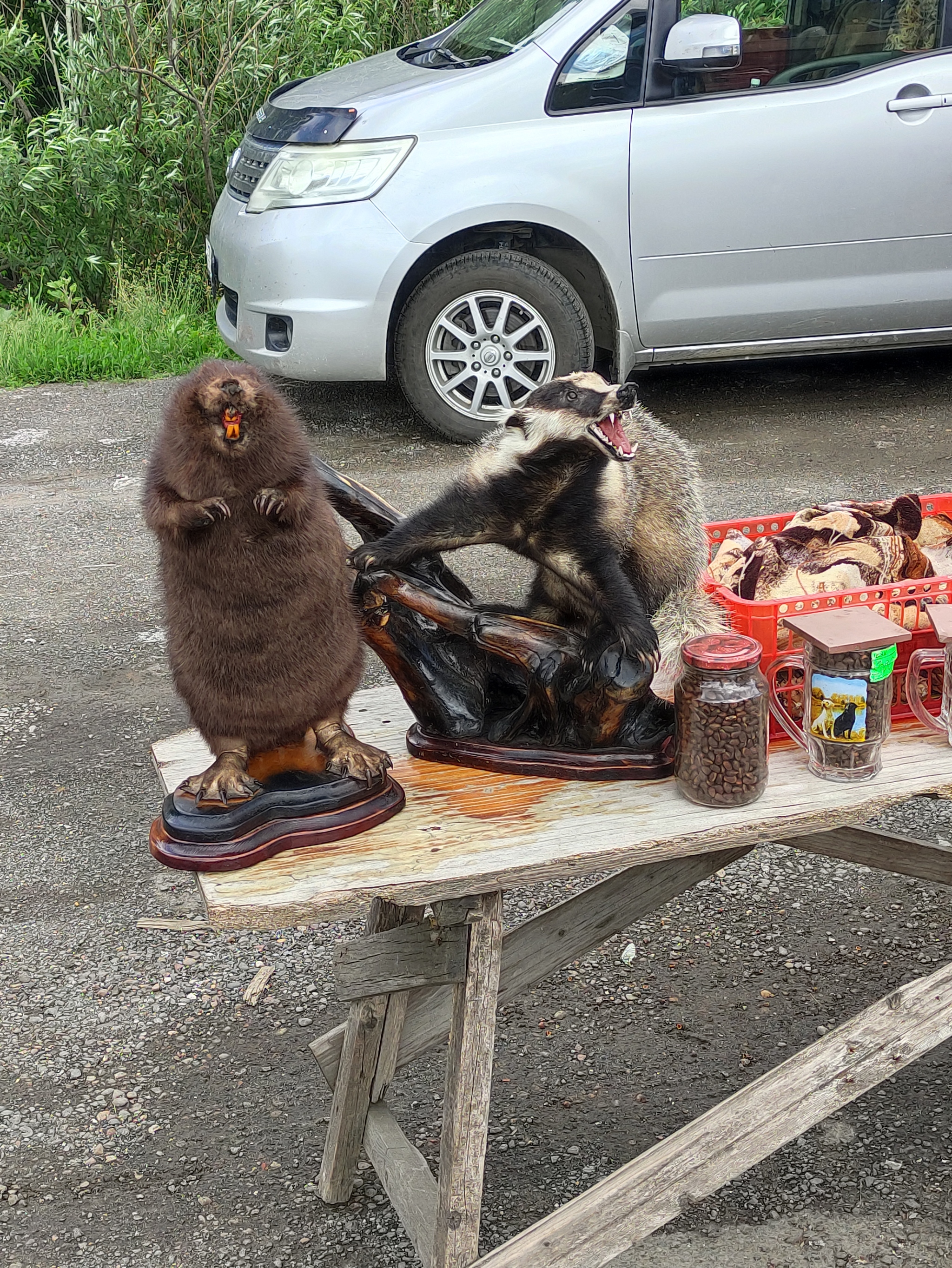 Cycling trip of 10,000 km. Tula - Vladivostok 2022. Week 4 - My, A bike, Bike trip, Cycling, Bike ride, Tourism, Tula, Vladivostok, Novosibirsk, Kemerovo, Siberia, Krasnoyarsk, Travels, Summer, Road, Longpost