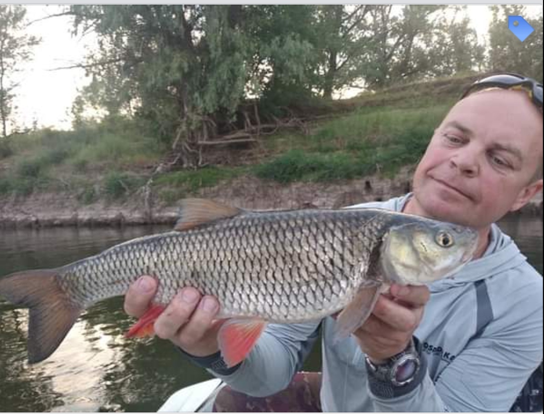 Behind the trophy Ash - My, Fishing, Nature, Author's story, Chub, Video, Longpost