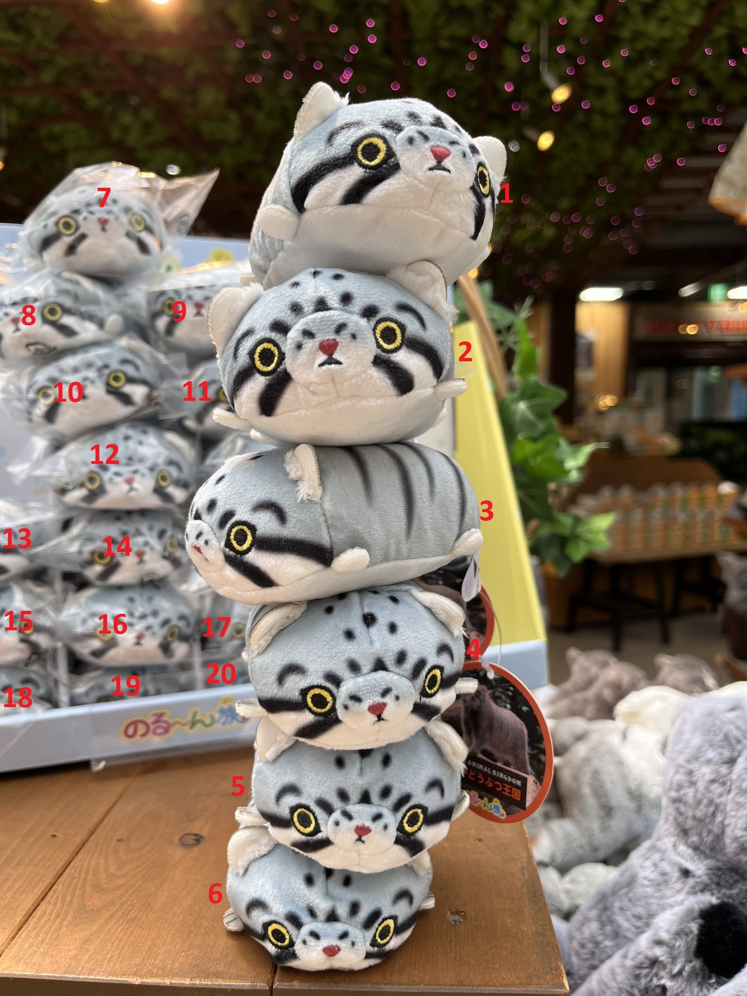 Tsum tsum manuli are coming!!! - Pallas' cat, Pet the cat, Cat family, Small cats, Soft toy