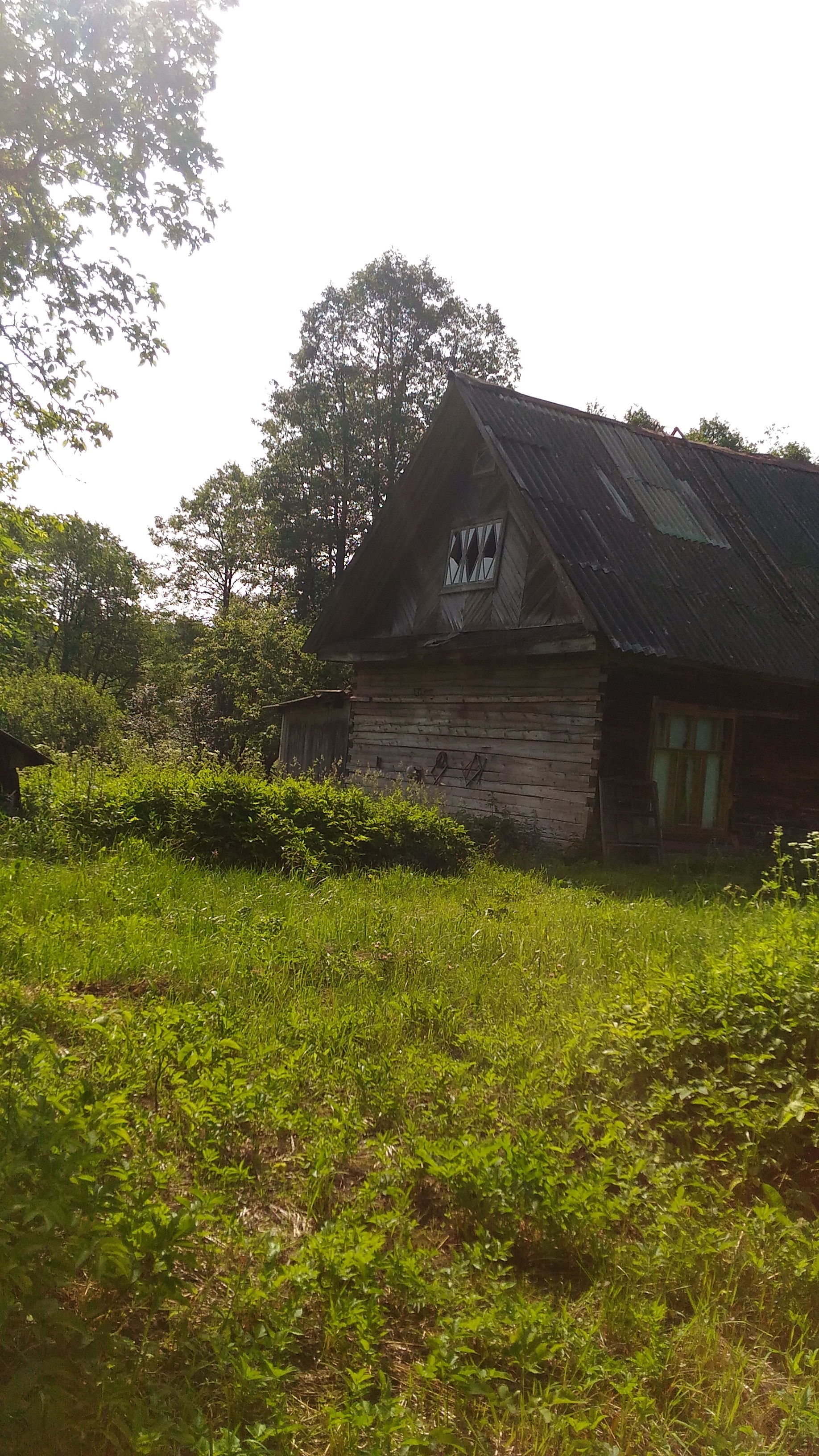 Childhood, childhood where have you gone! - Childhood memories, Village, Summer, Longpost