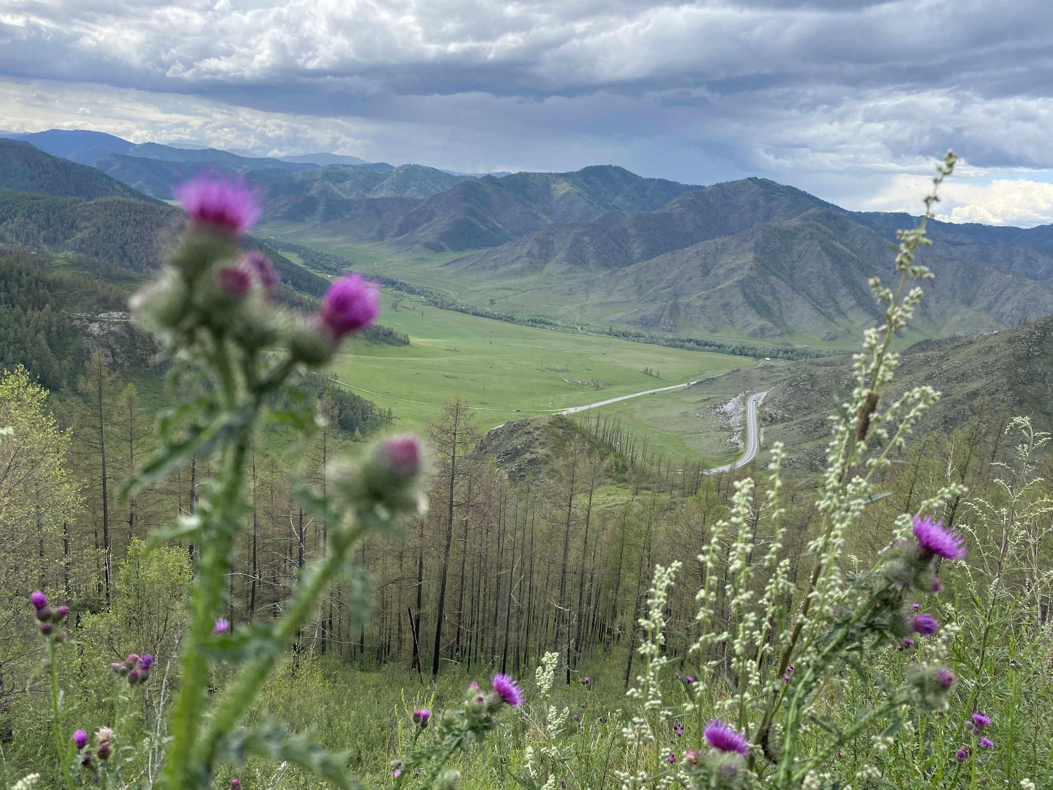 Altai, Chike-Taman pass - My, Altai Republic, Nature, The mountains, Chike Taman Pass, Travel across Russia, Travels, The photo