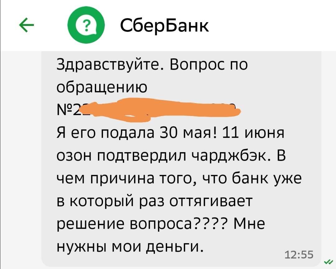 Continuation of the post “More than 11,000 rubles were stolen from me on OZON” - My, Ozon, Fraud, Sberbank, Theft, Online Store, Deception, Negative, Legal aid, Consumer rights Protection, Sberbank Online, A complaint, Divorce for money, Bank, Rospotrebnadzor, Reply to post, Longpost, Correspondence, Screenshot